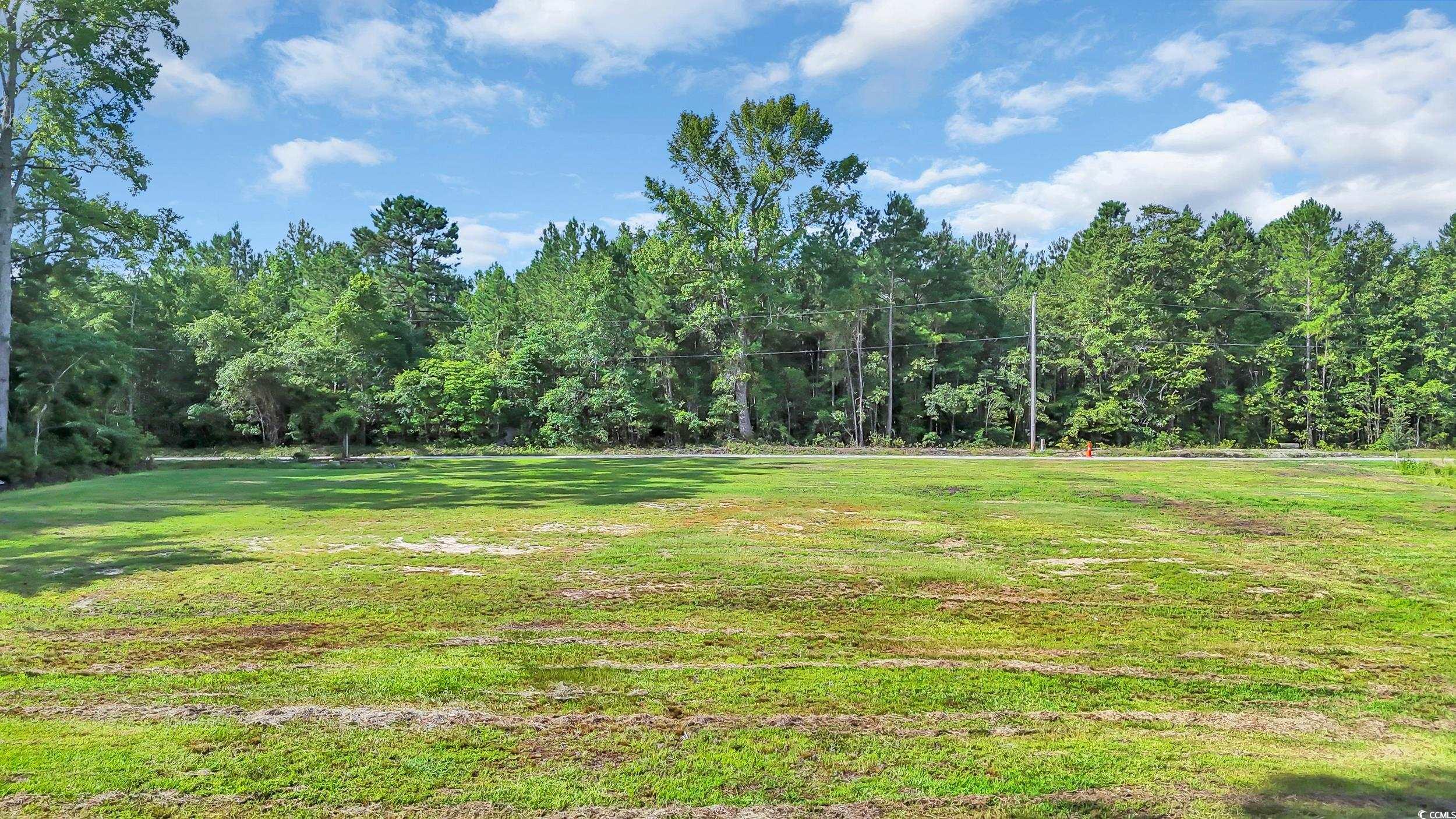 3845 Hillside Dr., Conway, South Carolina image 31