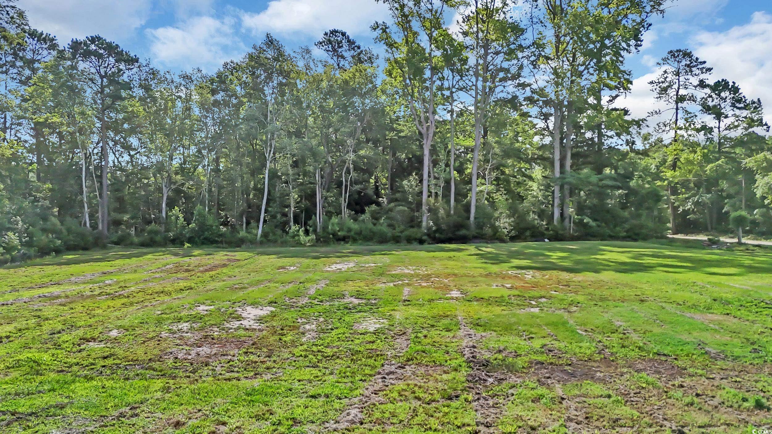 3845 Hillside Dr., Conway, South Carolina image 32