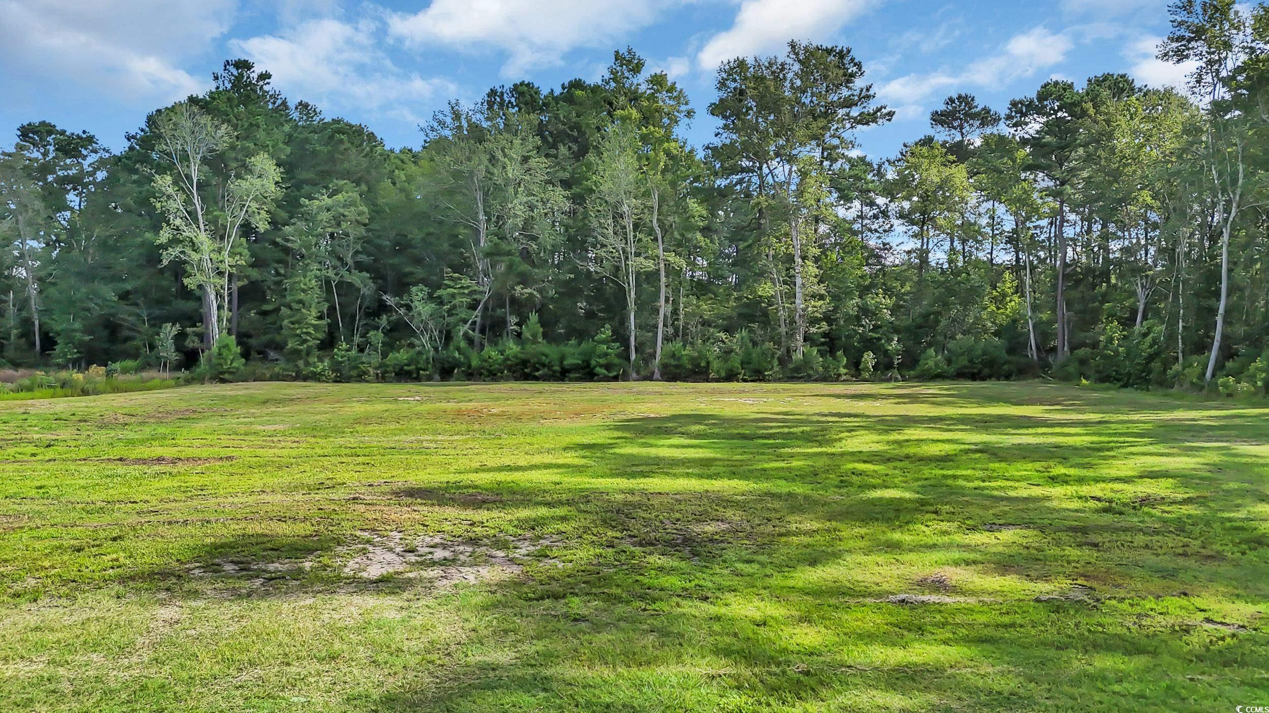 3845 Hillside Dr., Conway, South Carolina image 6