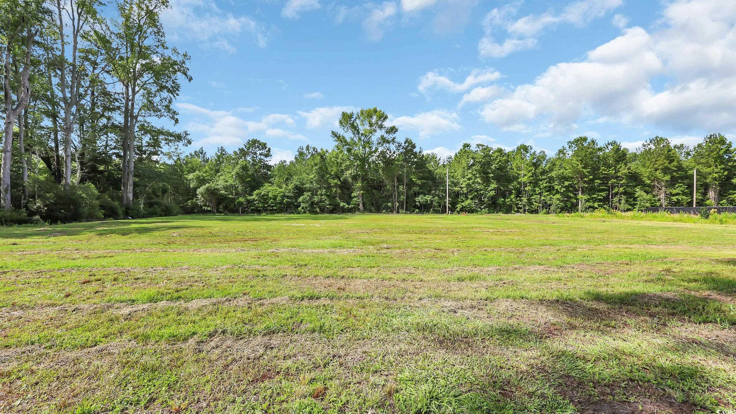 3845 Hillside Dr., Conway, South Carolina image 7