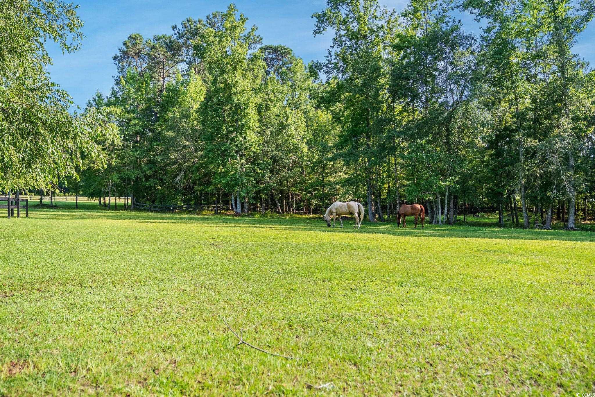 2420 Mount Zion Rd., Loris, South Carolina image 39