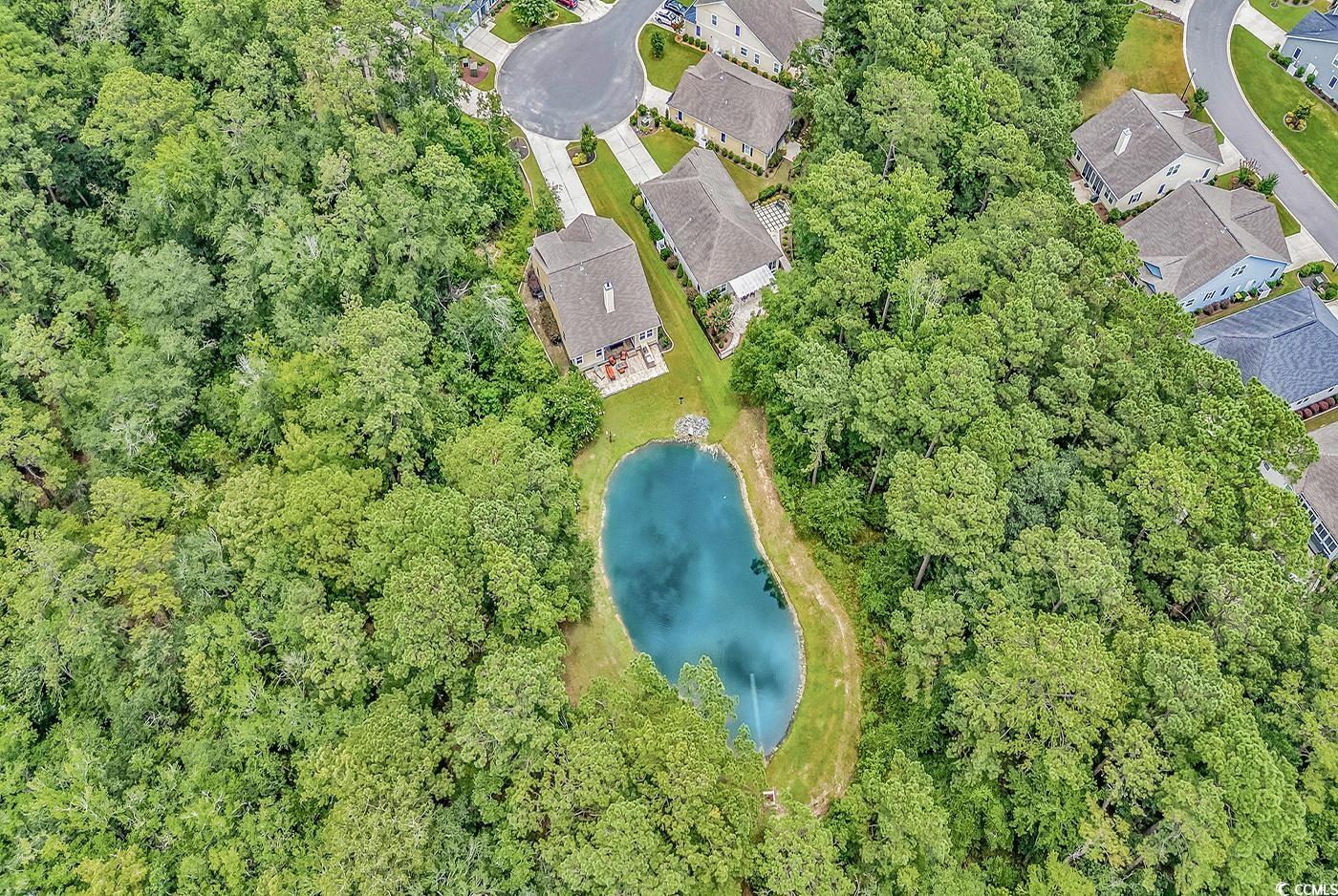 343 Scottsdale Ct., Murrells Inlet, South Carolina image 12