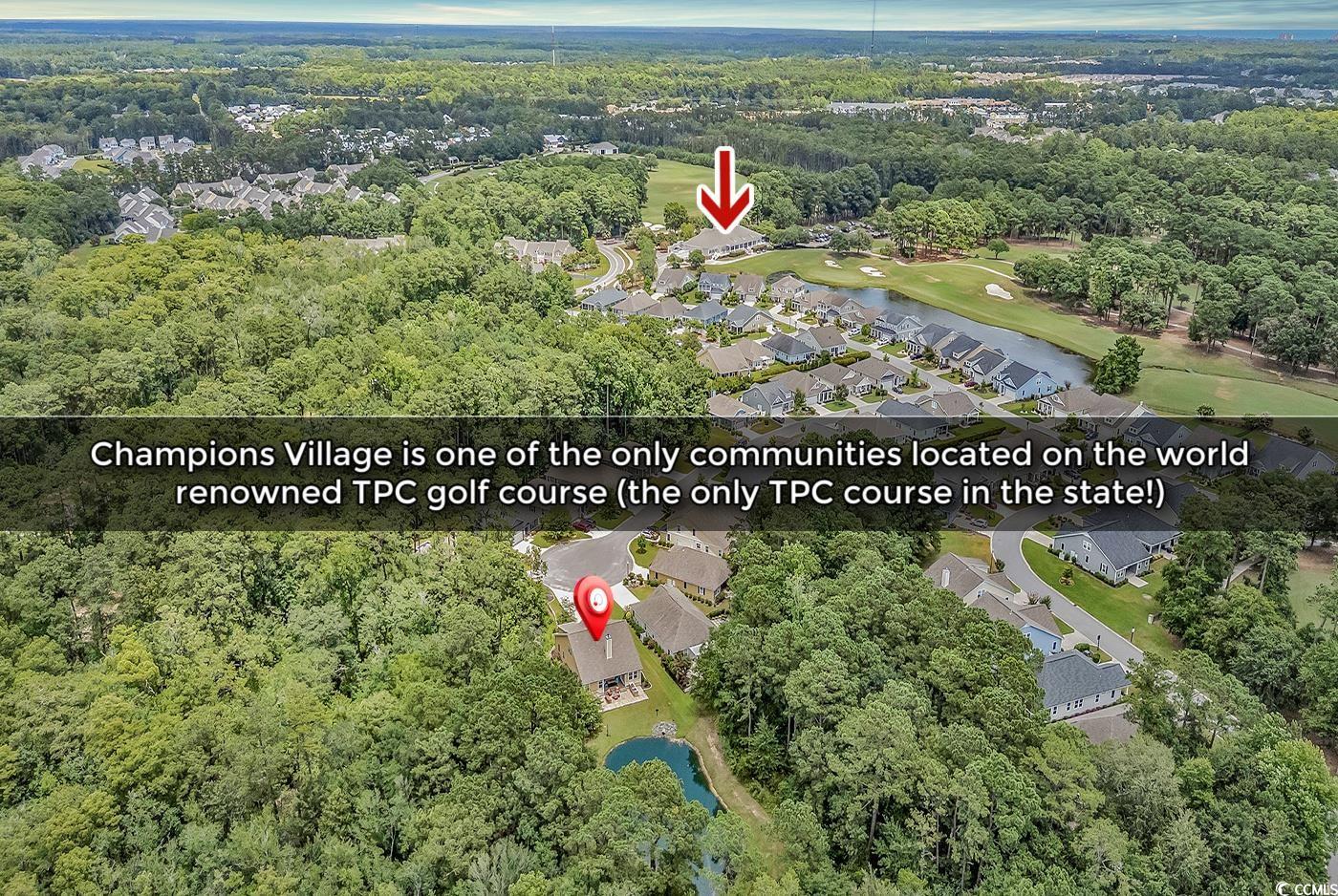 343 Scottsdale Ct., Murrells Inlet, South Carolina image 36