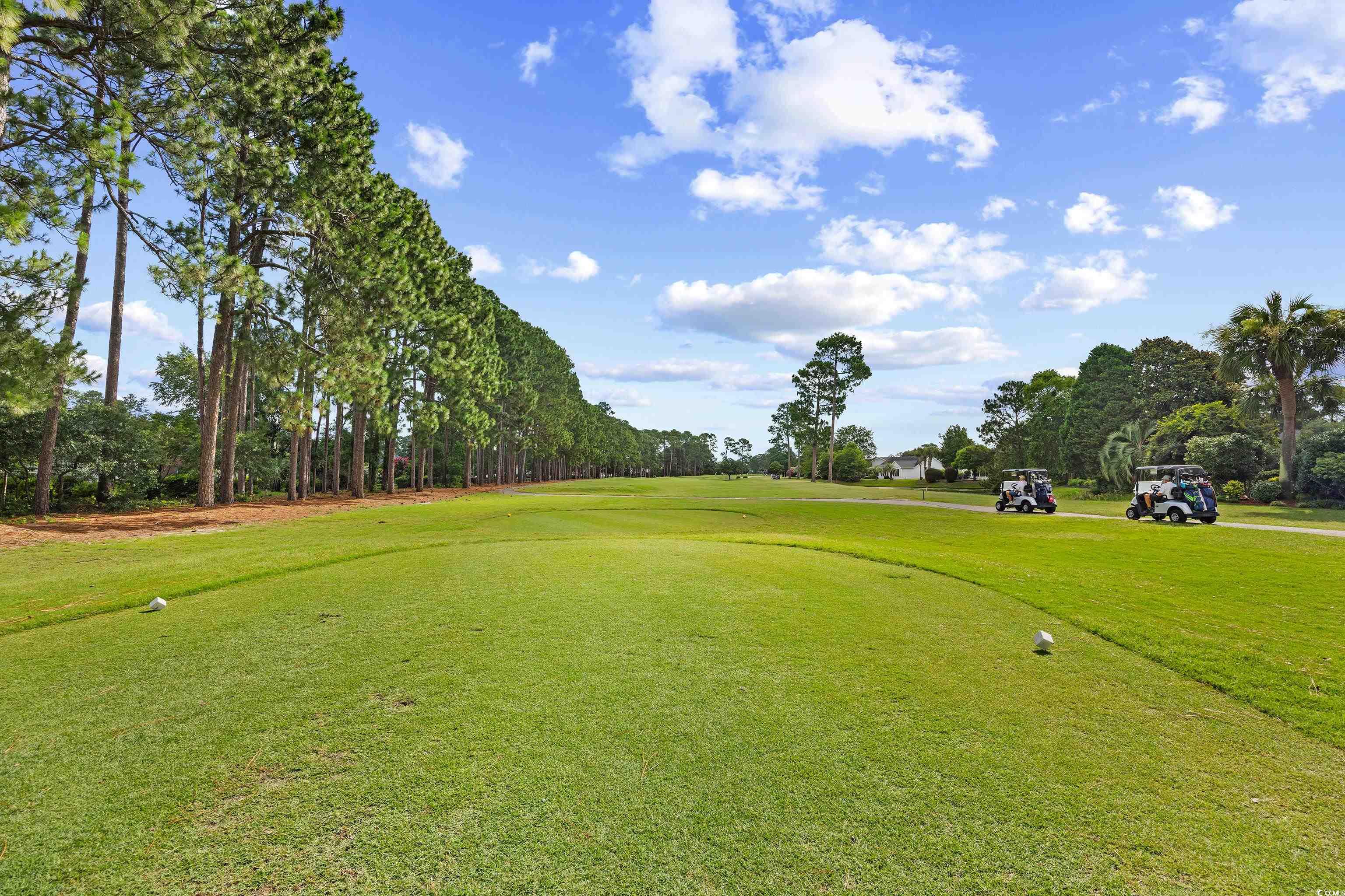 509 Wildflower Trail, Myrtle Beach, South Carolina image 35