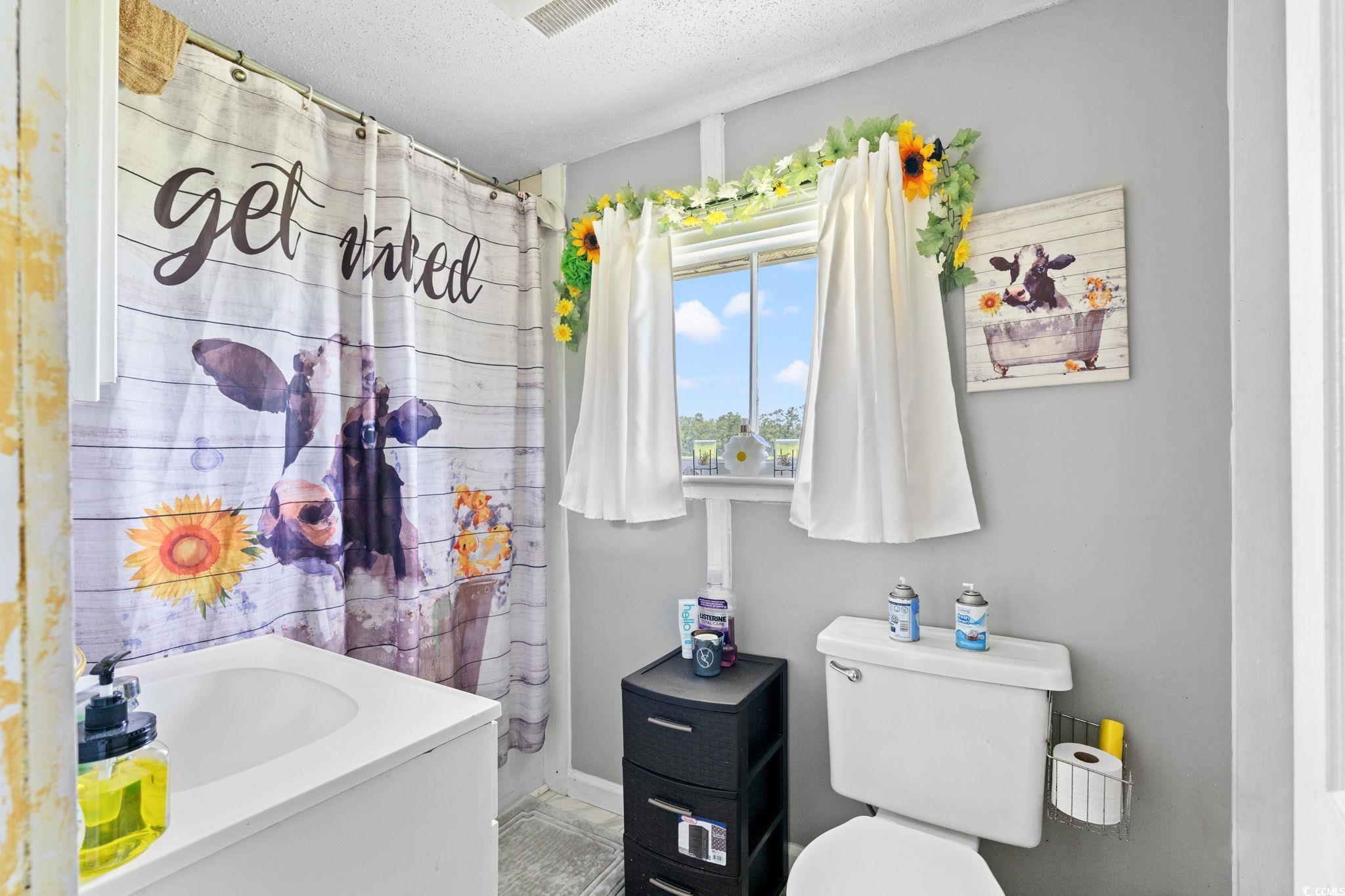 5417 Highway 712, Loris, South Carolina image 15