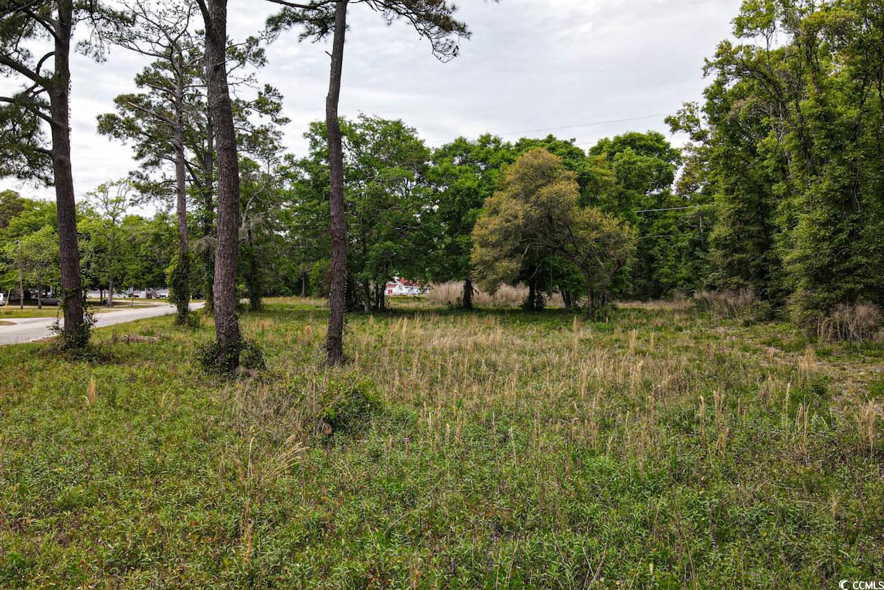 Tract 2 Little River Neck Rd., North Myrtle Beach, South Carolina image 5