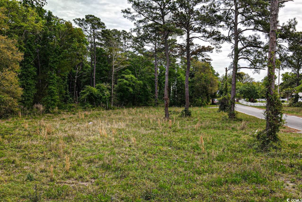 Tract 2 Little River Neck Rd., North Myrtle Beach, South Carolina image 6