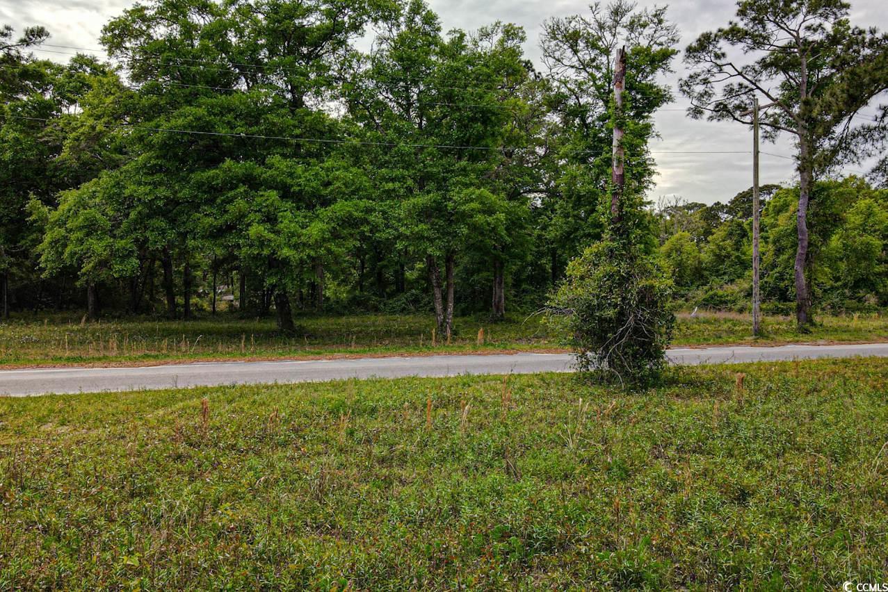 Tract 2 Little River Neck Rd., North Myrtle Beach, South Carolina image 7
