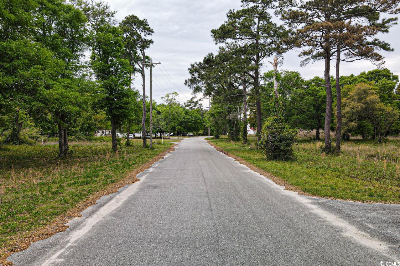 Tract 2 Little River Neck Rd., North Myrtle Beach, South Carolina image 9