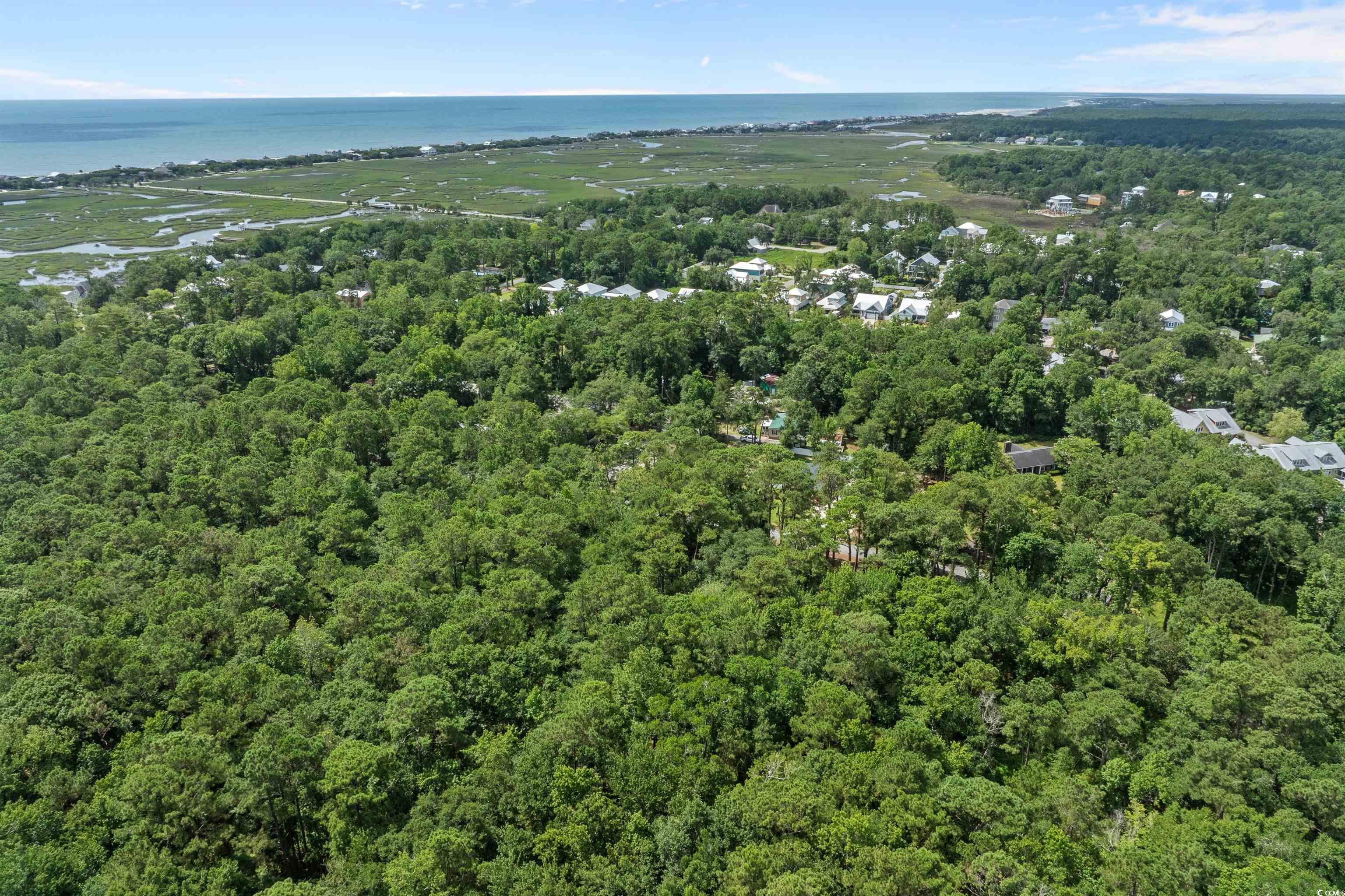 284 Player Rd., Pawleys Island, South Carolina image 10