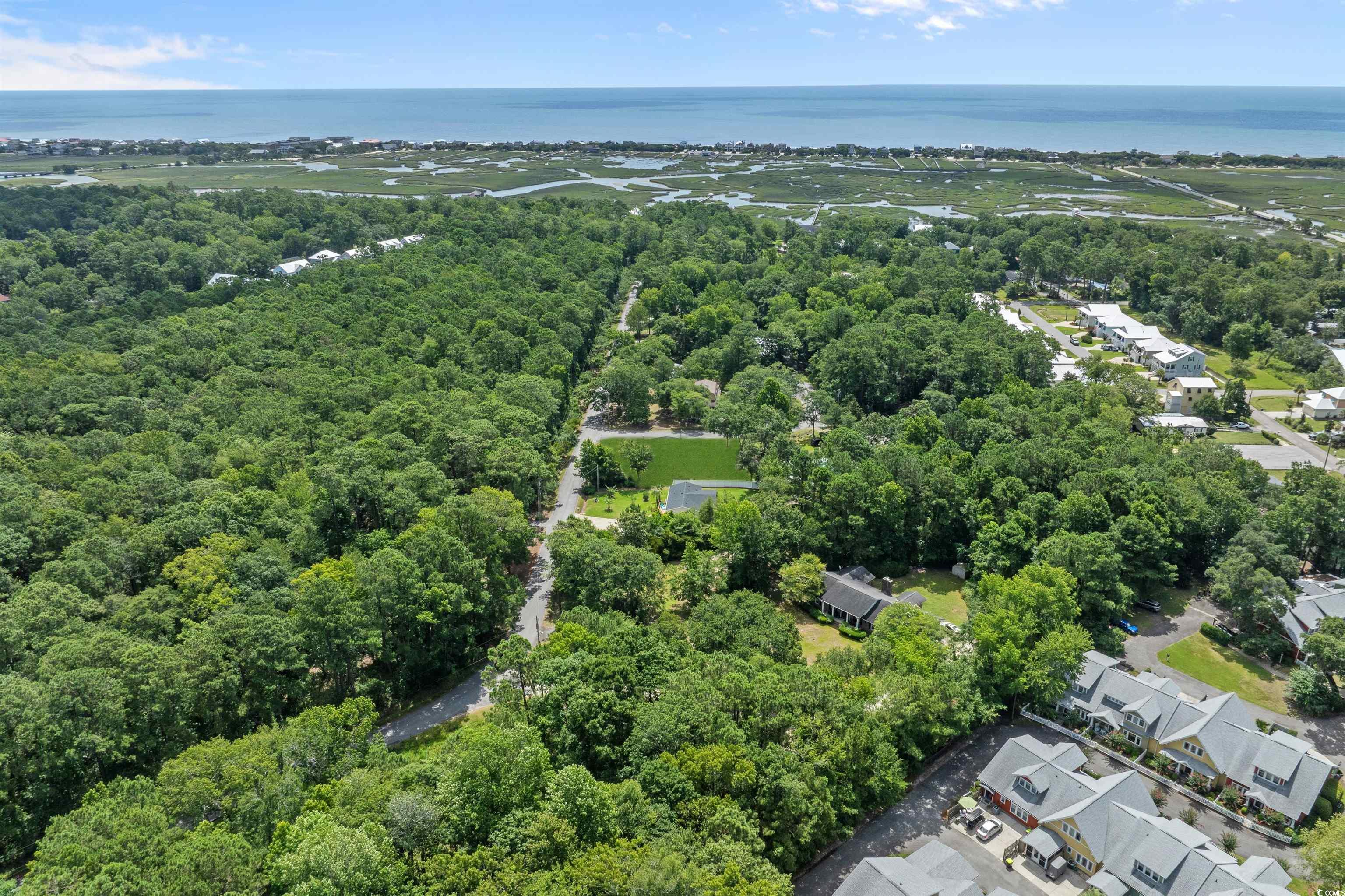 284 Player Rd., Pawleys Island, South Carolina image 11