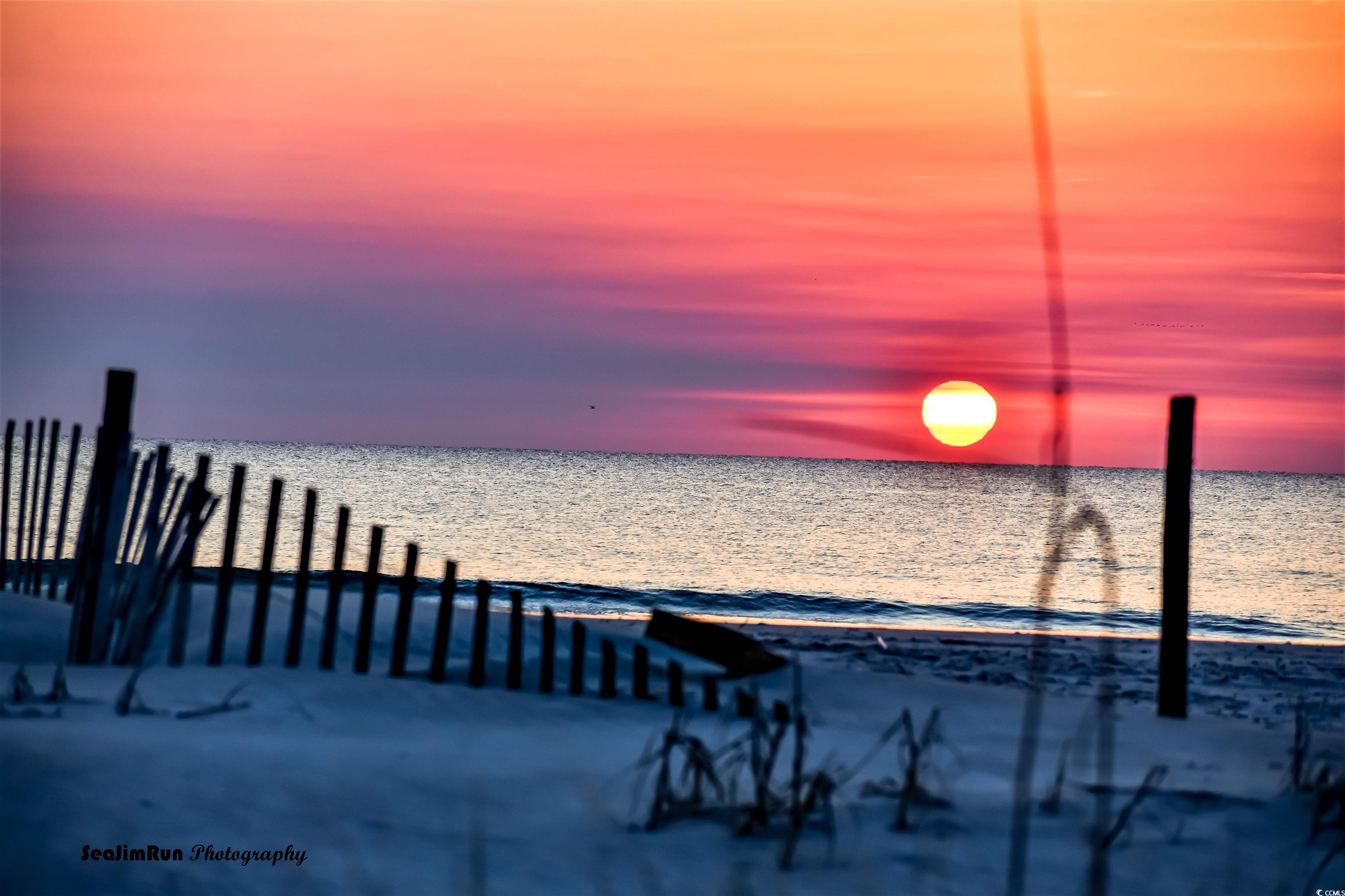 284 Player Rd., Pawleys Island, South Carolina image 23