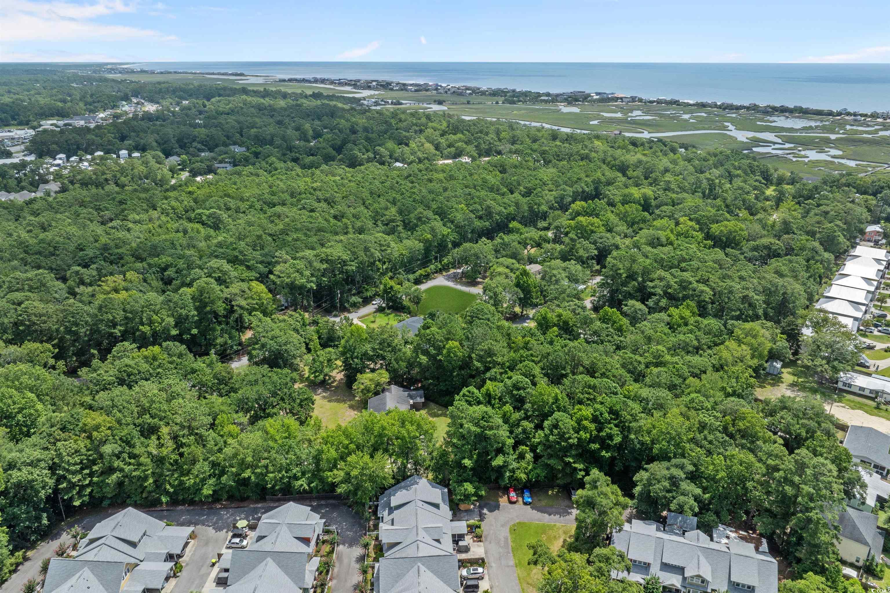 284 Player Rd., Pawleys Island, South Carolina image 8