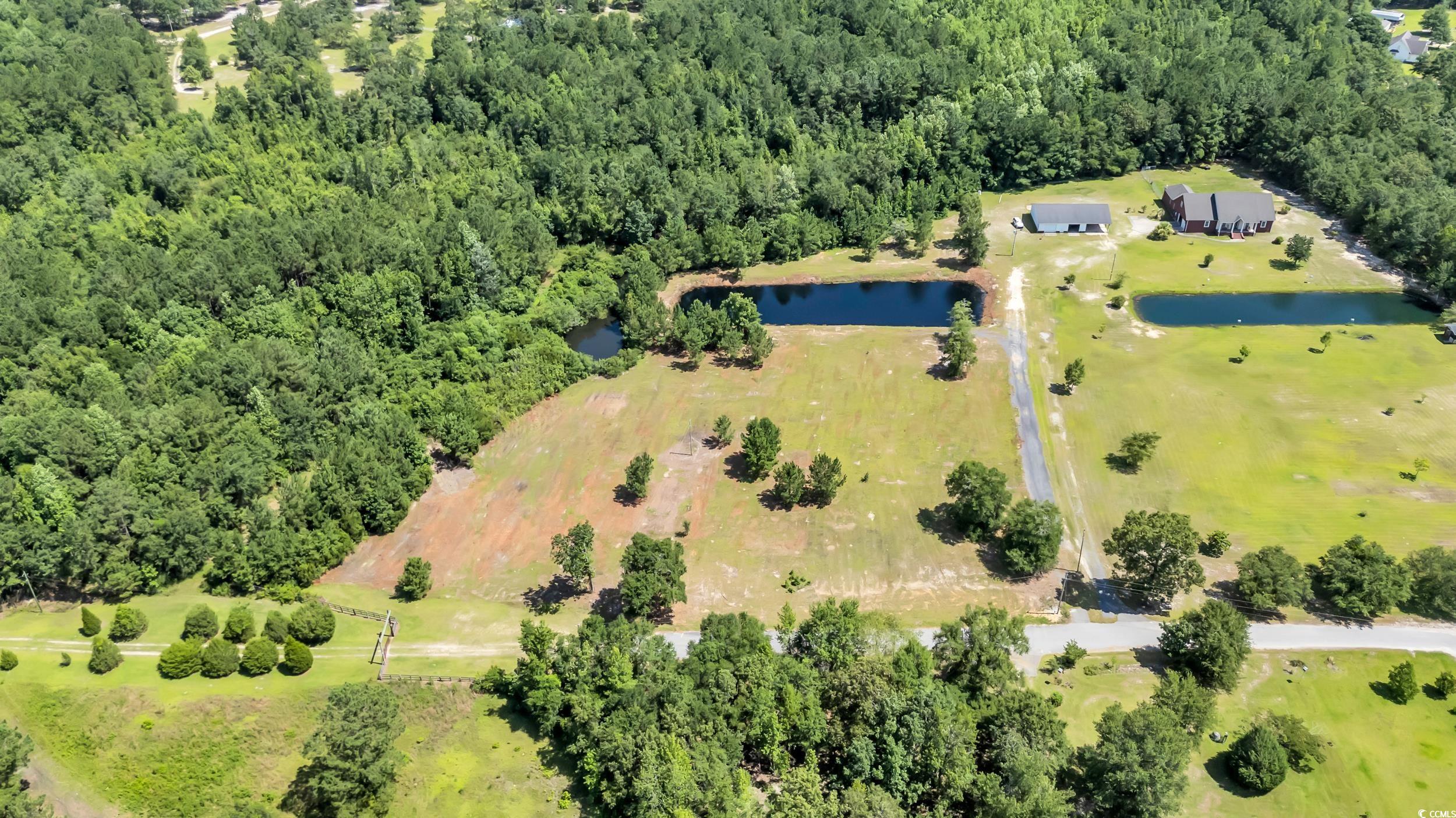 602 Alligator Rd., Andrews, South Carolina image 1