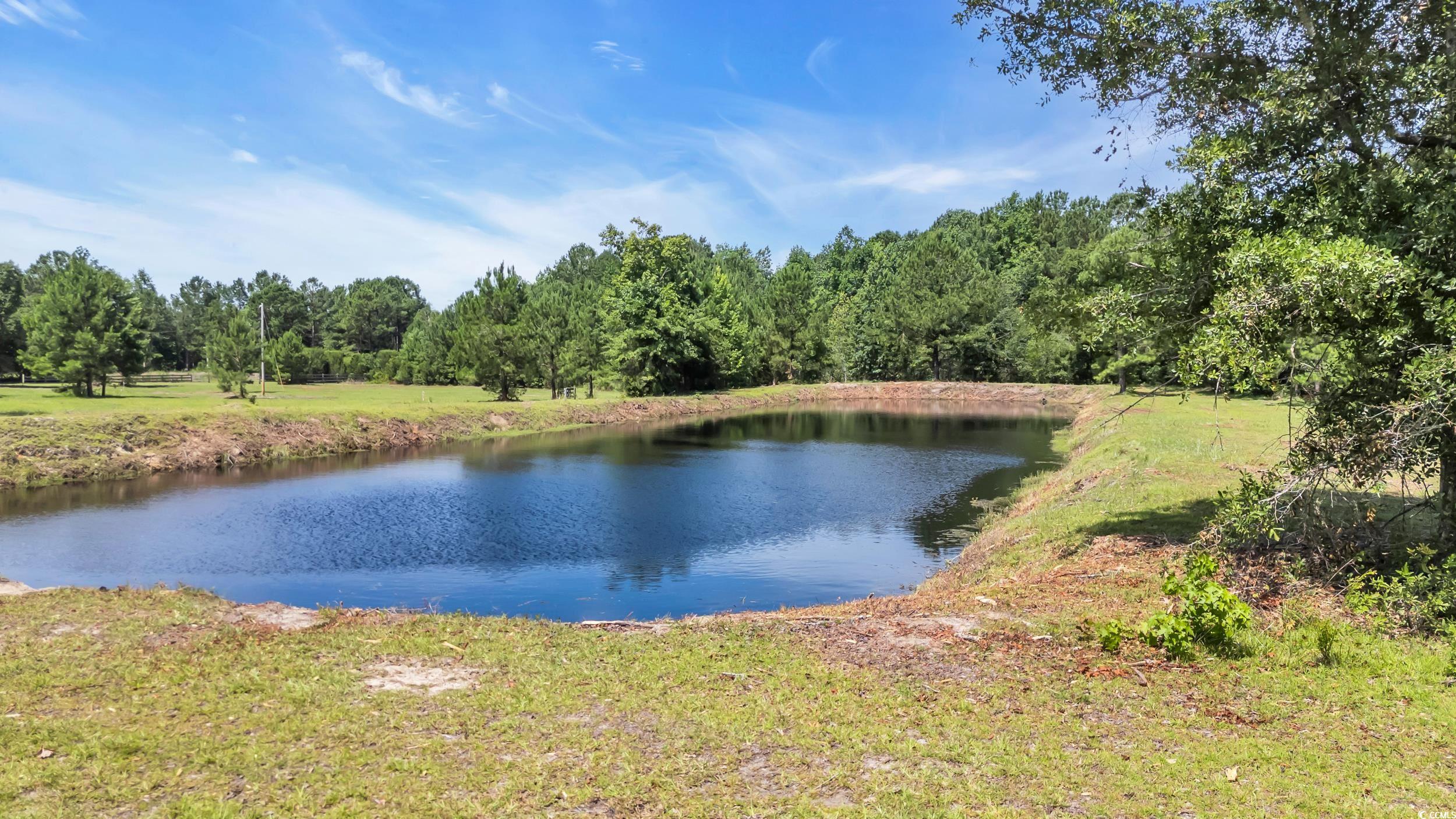 602 Alligator Rd., Andrews, South Carolina image 5