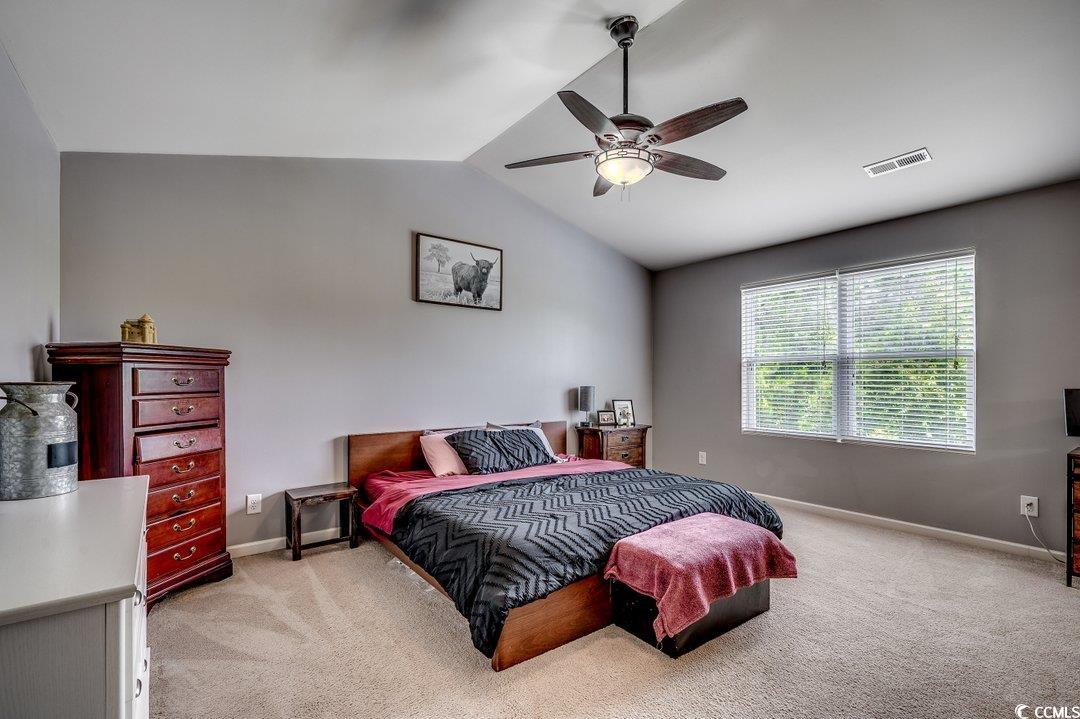 780 Trap Shooter Circle, Longs, South Carolina image 19