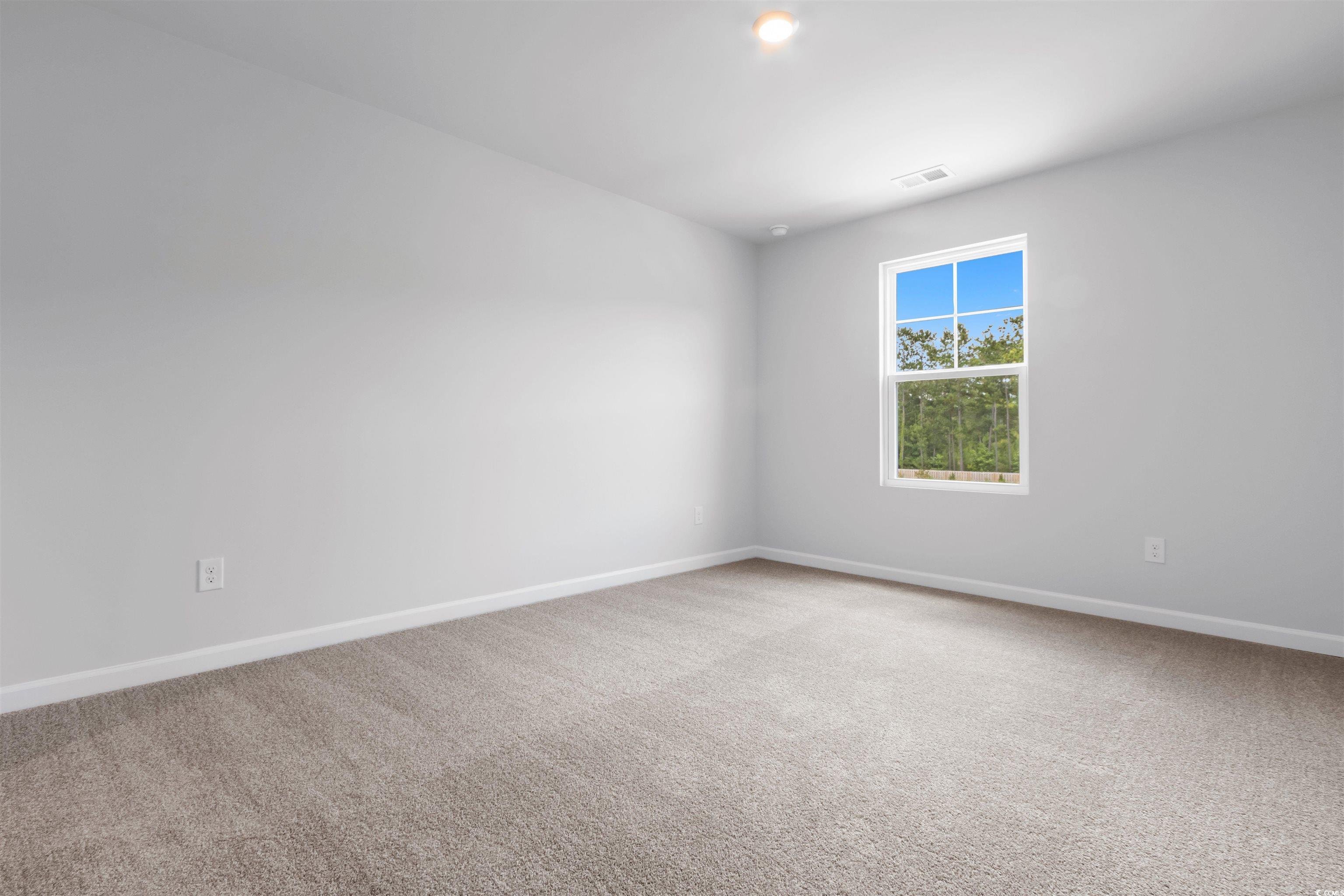 788 NW Palm Frond Way #50, Calabash, North Carolina image 24