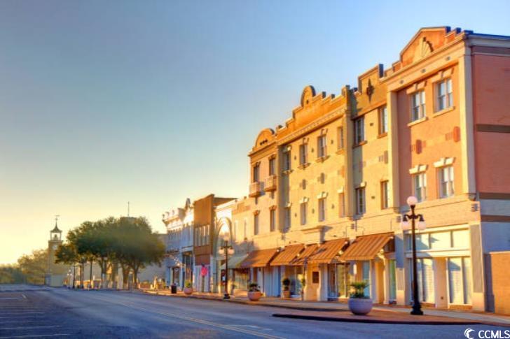 2408 South Island Rd., Georgetown, South Carolina image 2