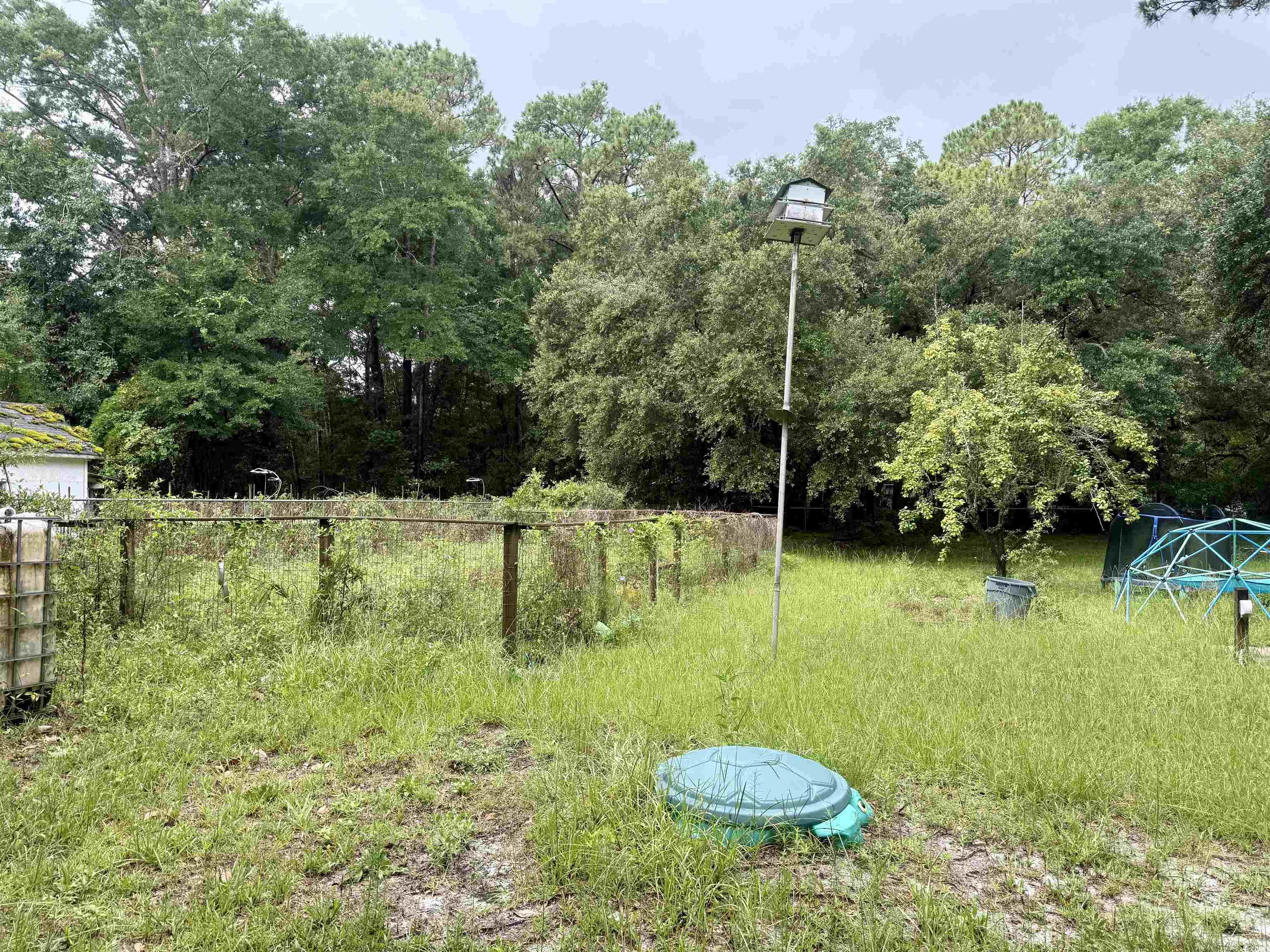 2408 South Island Rd., Georgetown, South Carolina image 9