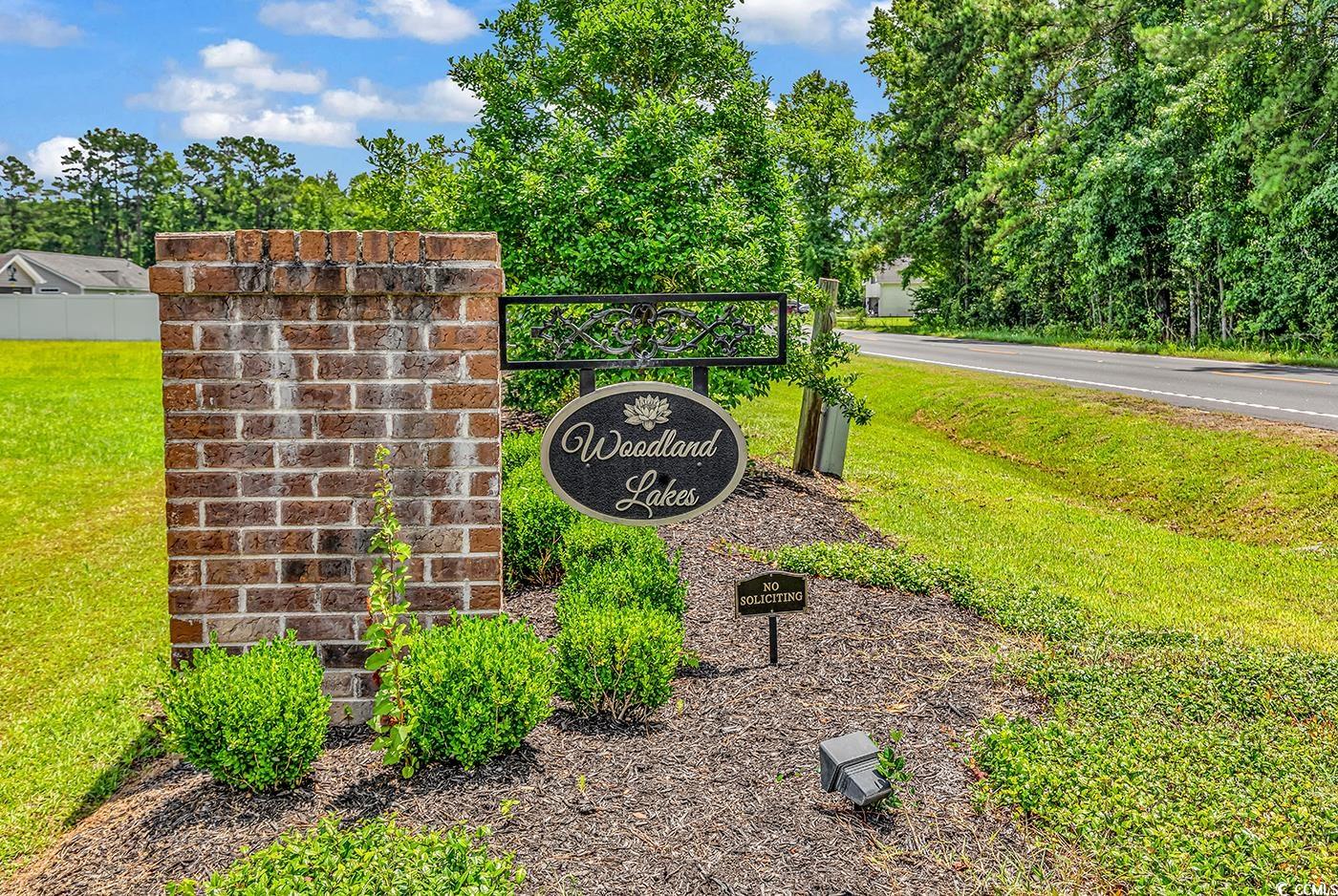 3230 Merganser  Dr., Conway, South Carolina image 29