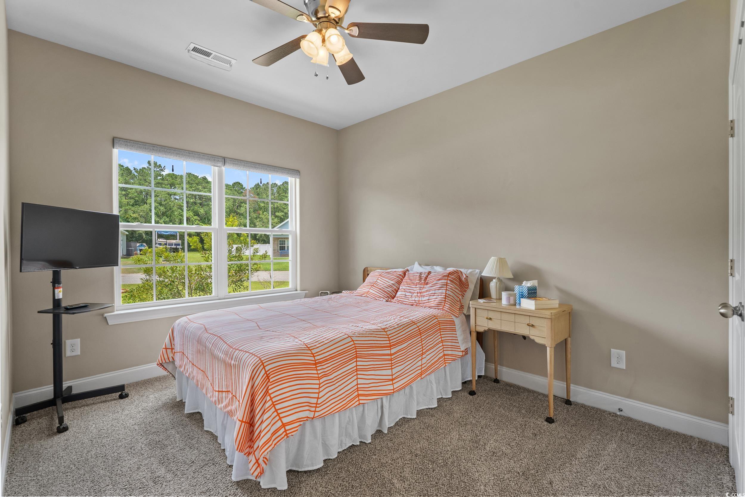 215 Vineyard Lake Circle, Conway, South Carolina image 29