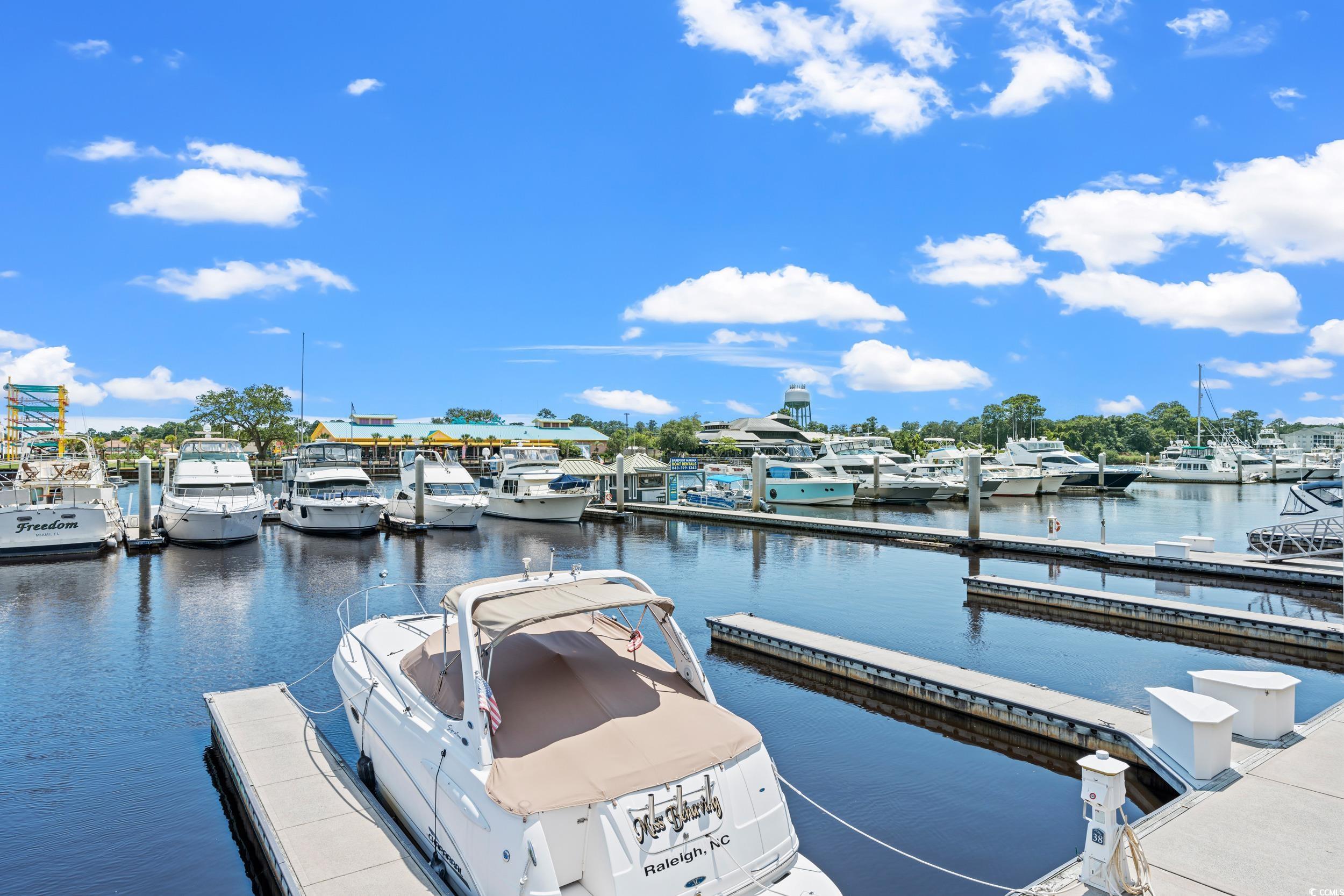 5116 Double Eagle Way #49, North Myrtle Beach, South Carolina image 35