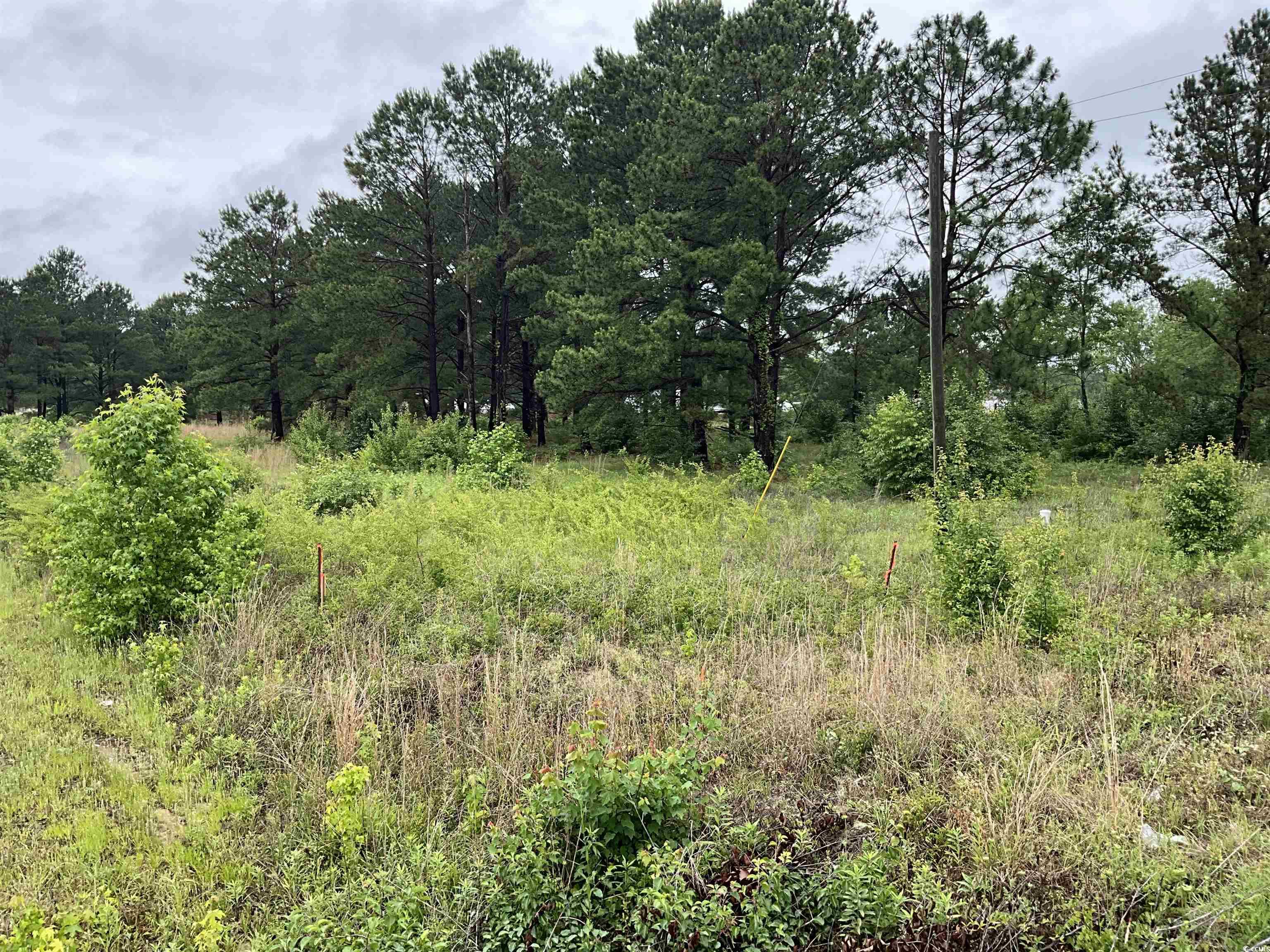 1329 Turner Rd., Florence, South Carolina image 2