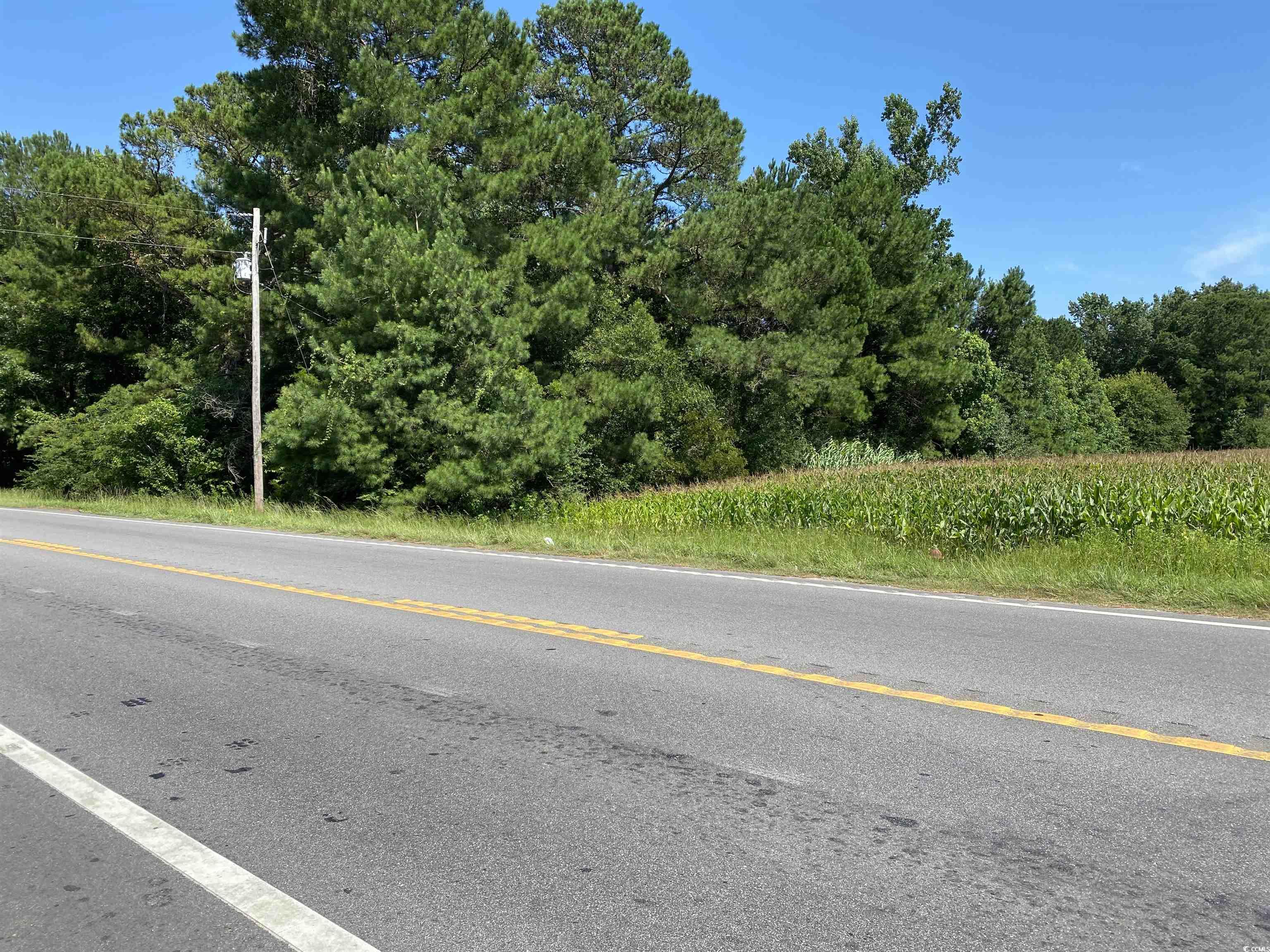 9142 Highway 90, Longs, South Carolina image 5