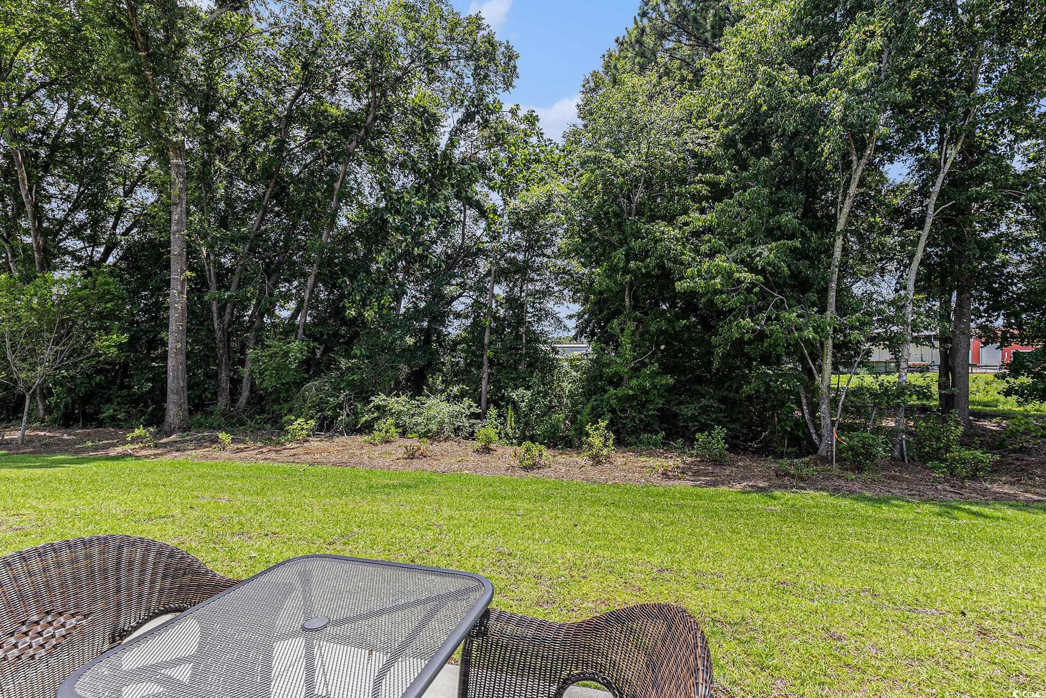 1213 American Shad Dr. #1213, Conway, South Carolina image 23