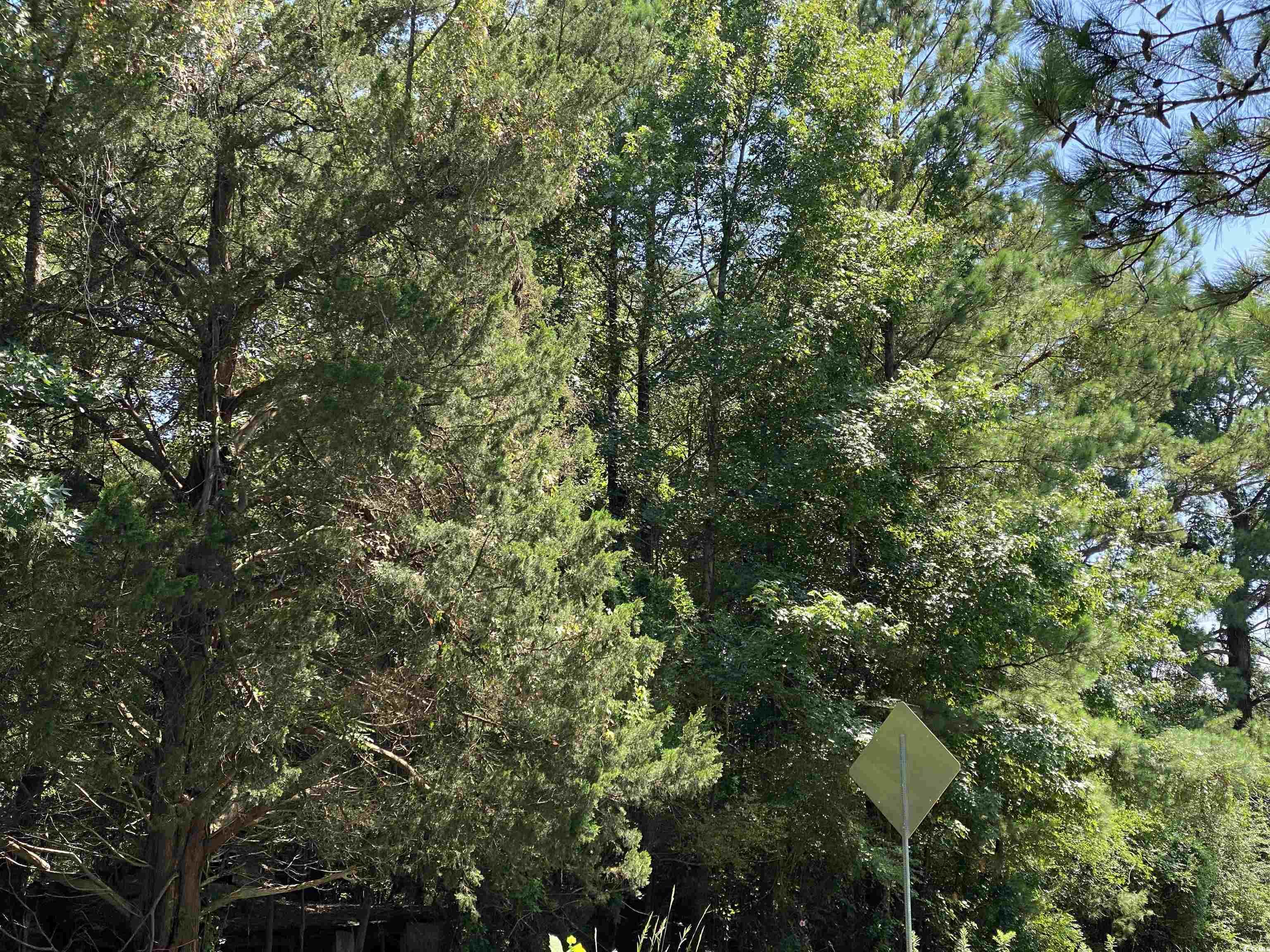 9142 Highway 90, Longs, South Carolina image 2