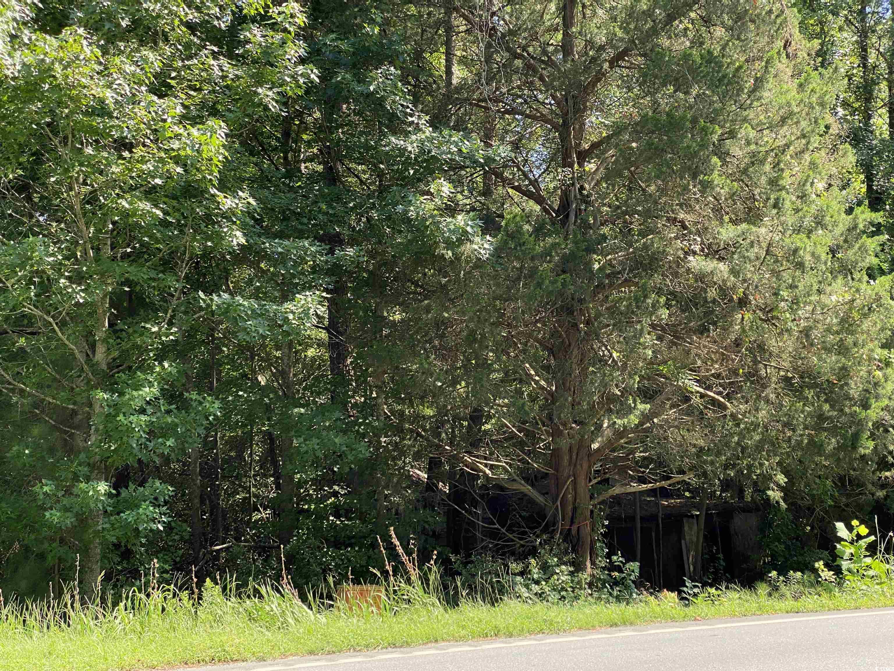 9142 Highway 90, Longs, South Carolina image 4