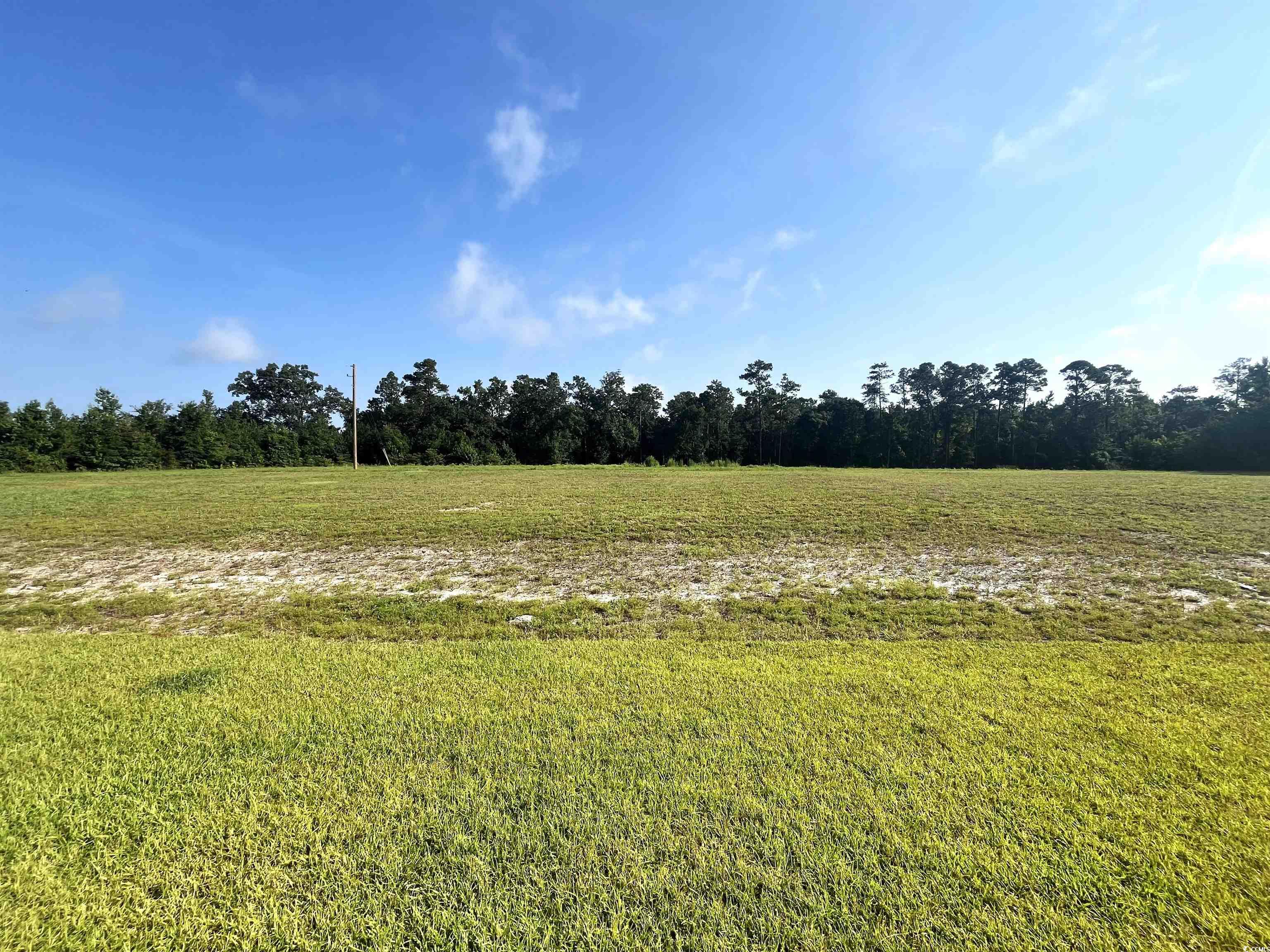 1174 St. John Rd., Galivants Ferry, South Carolina image 22