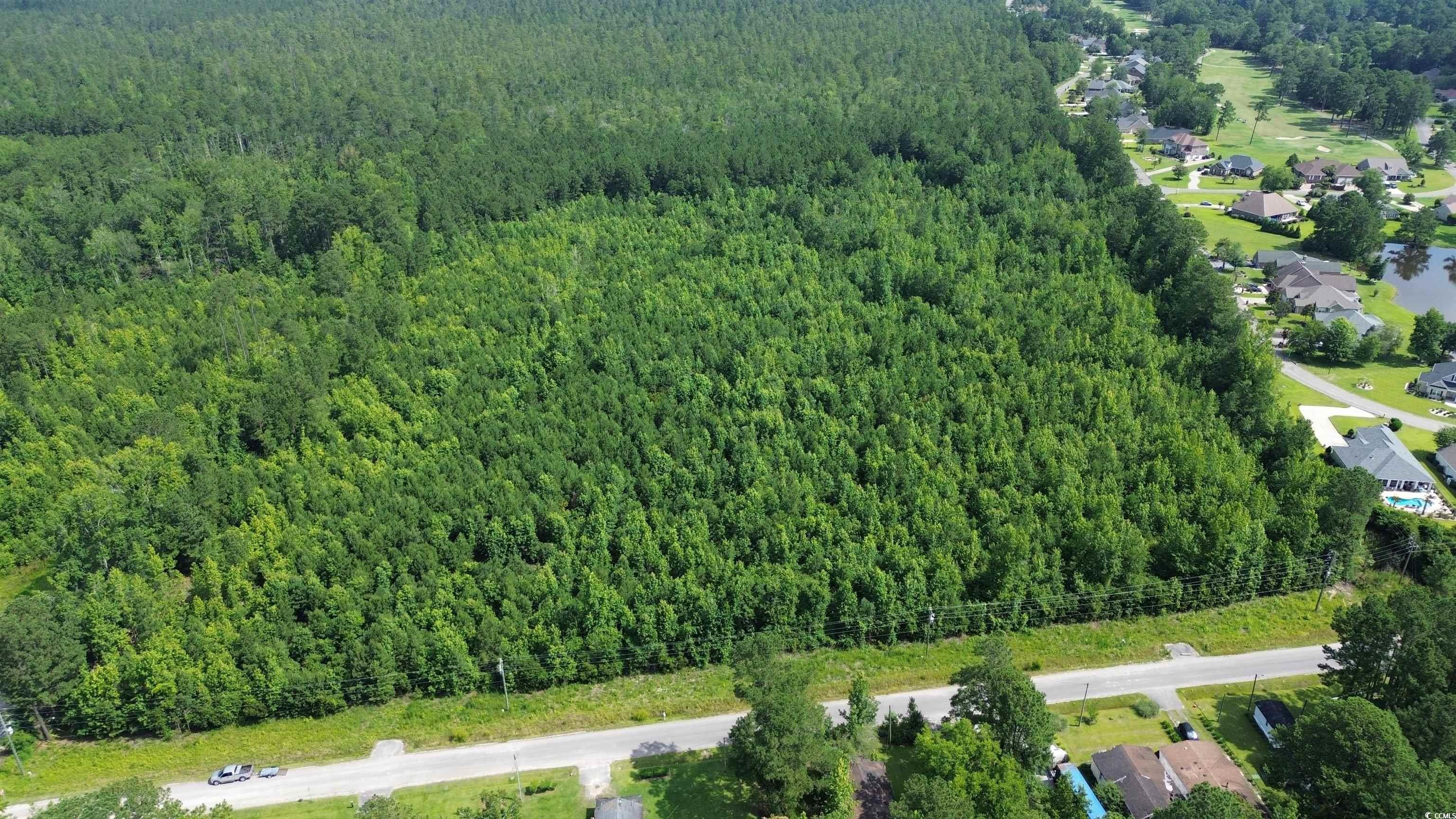 TBD Elbow Rd., Longs, South Carolina image 12