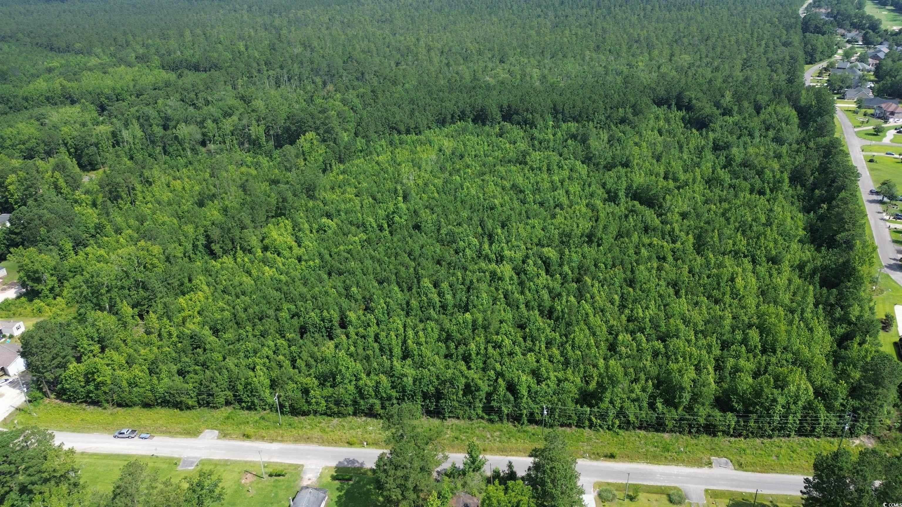 TBD Elbow Rd., Longs, South Carolina image 13