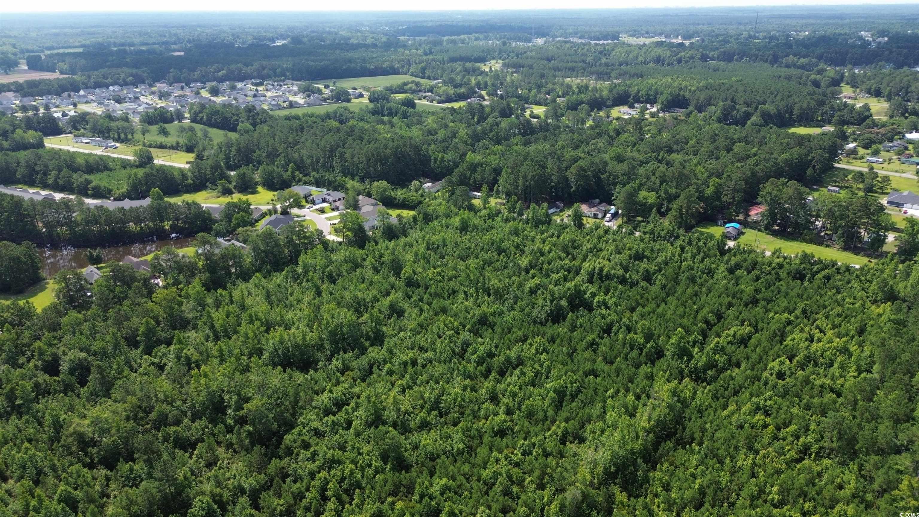 TBD Elbow Rd., Longs, South Carolina image 2