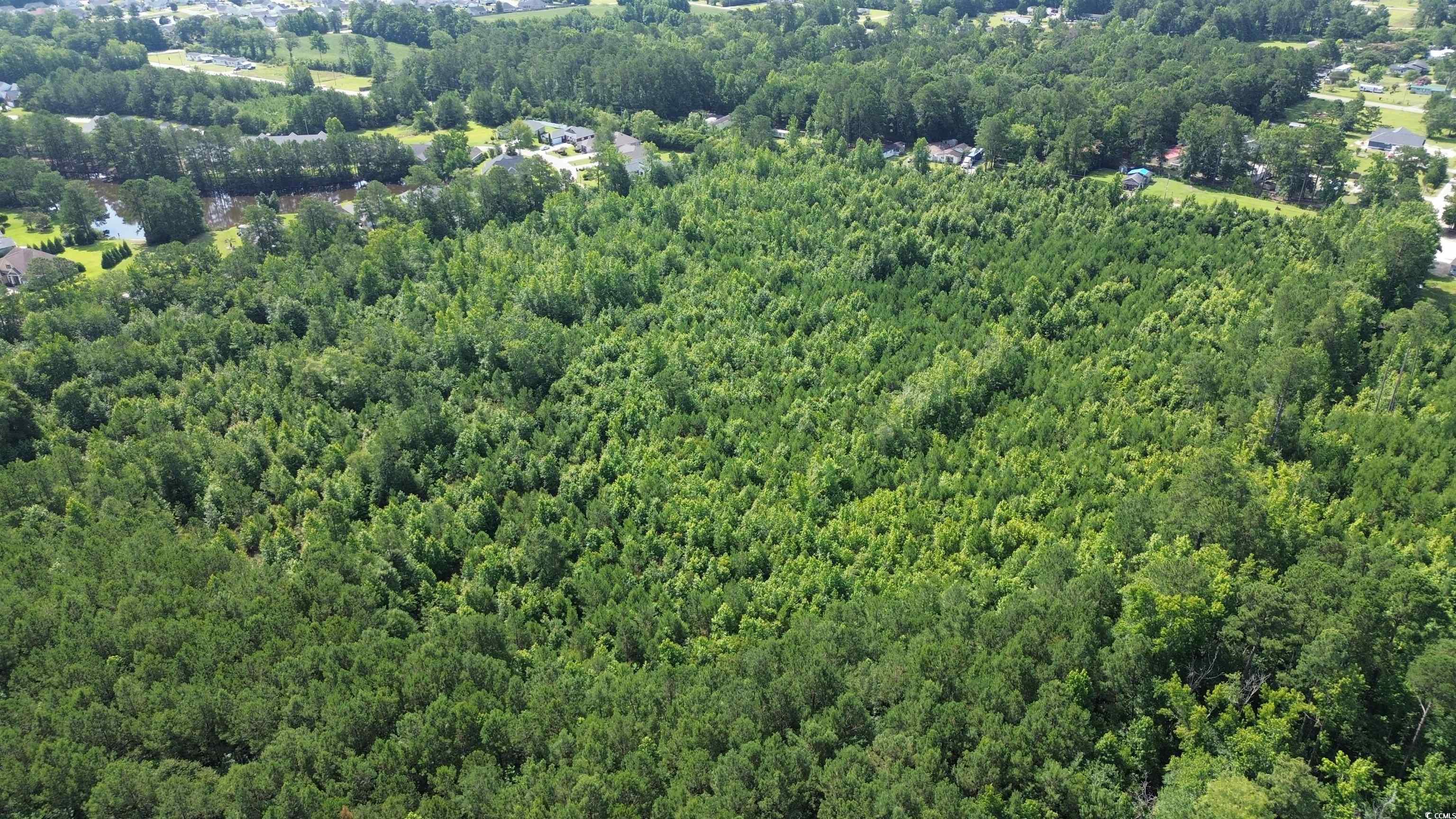 TBD Elbow Rd., Longs, South Carolina image 3