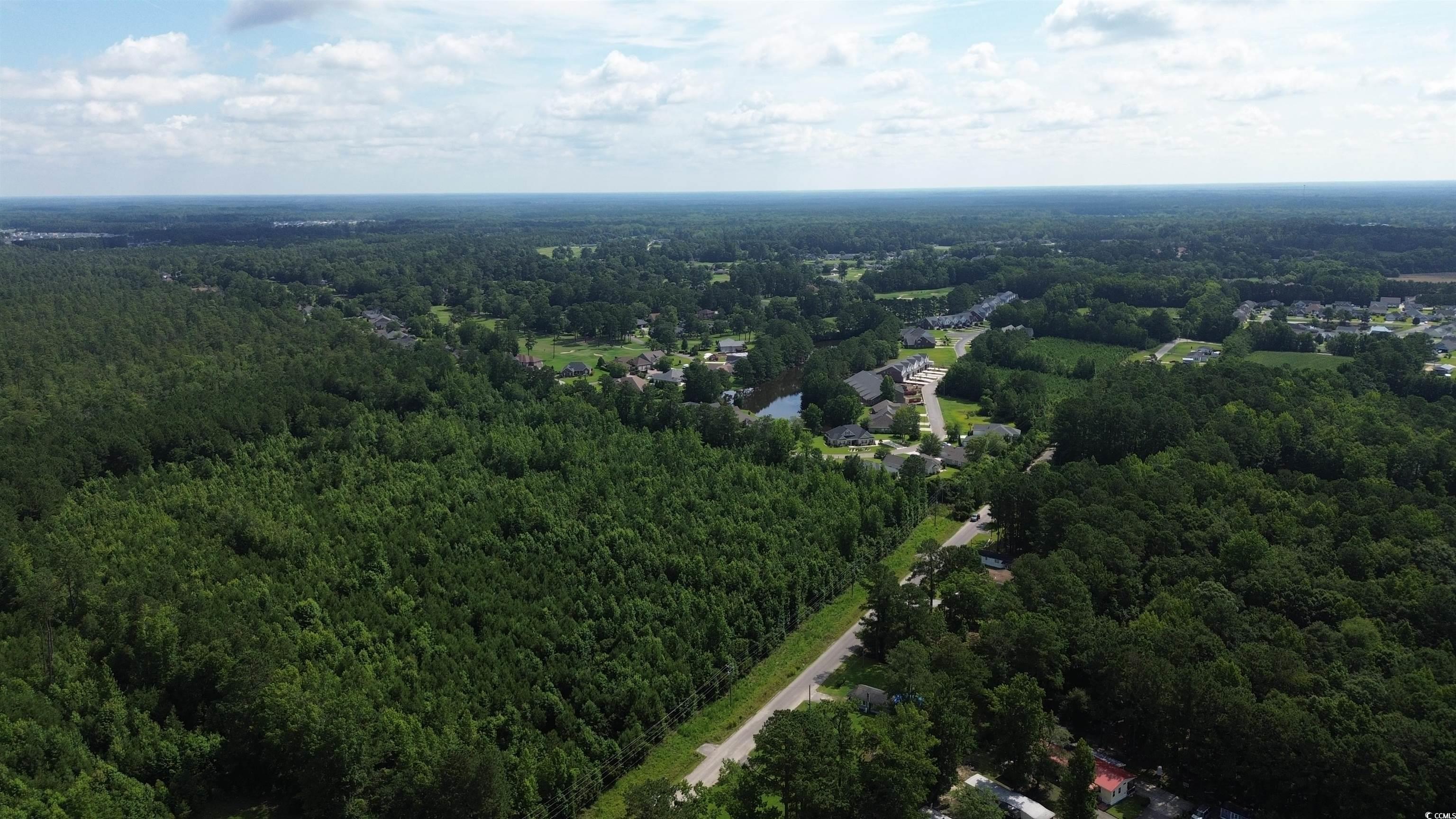 TBD Elbow Rd., Longs, South Carolina image 7