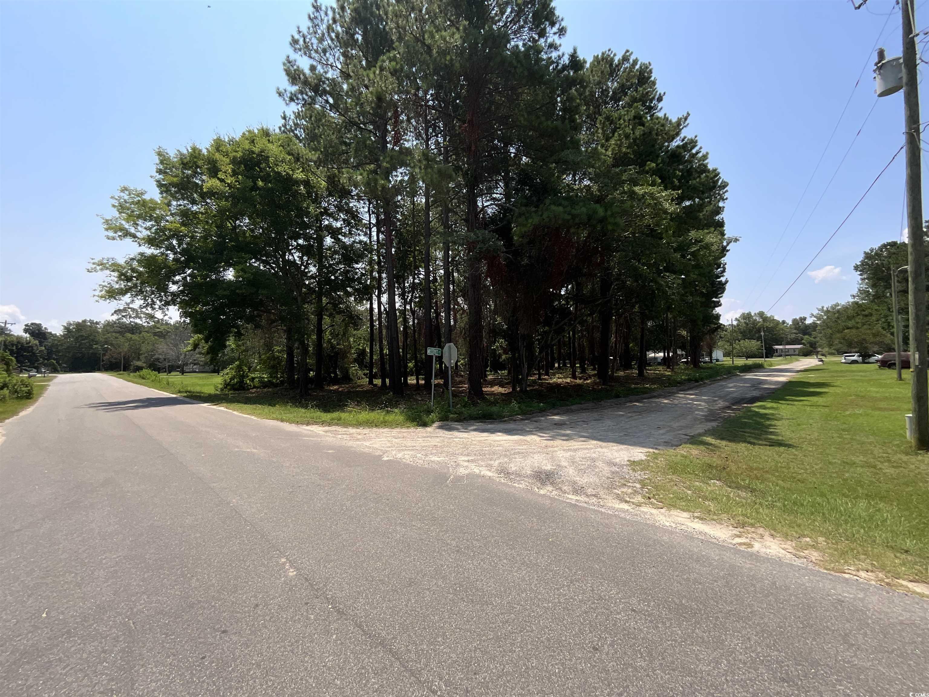 1425 Harbor House Dr. Manning, SC 29102