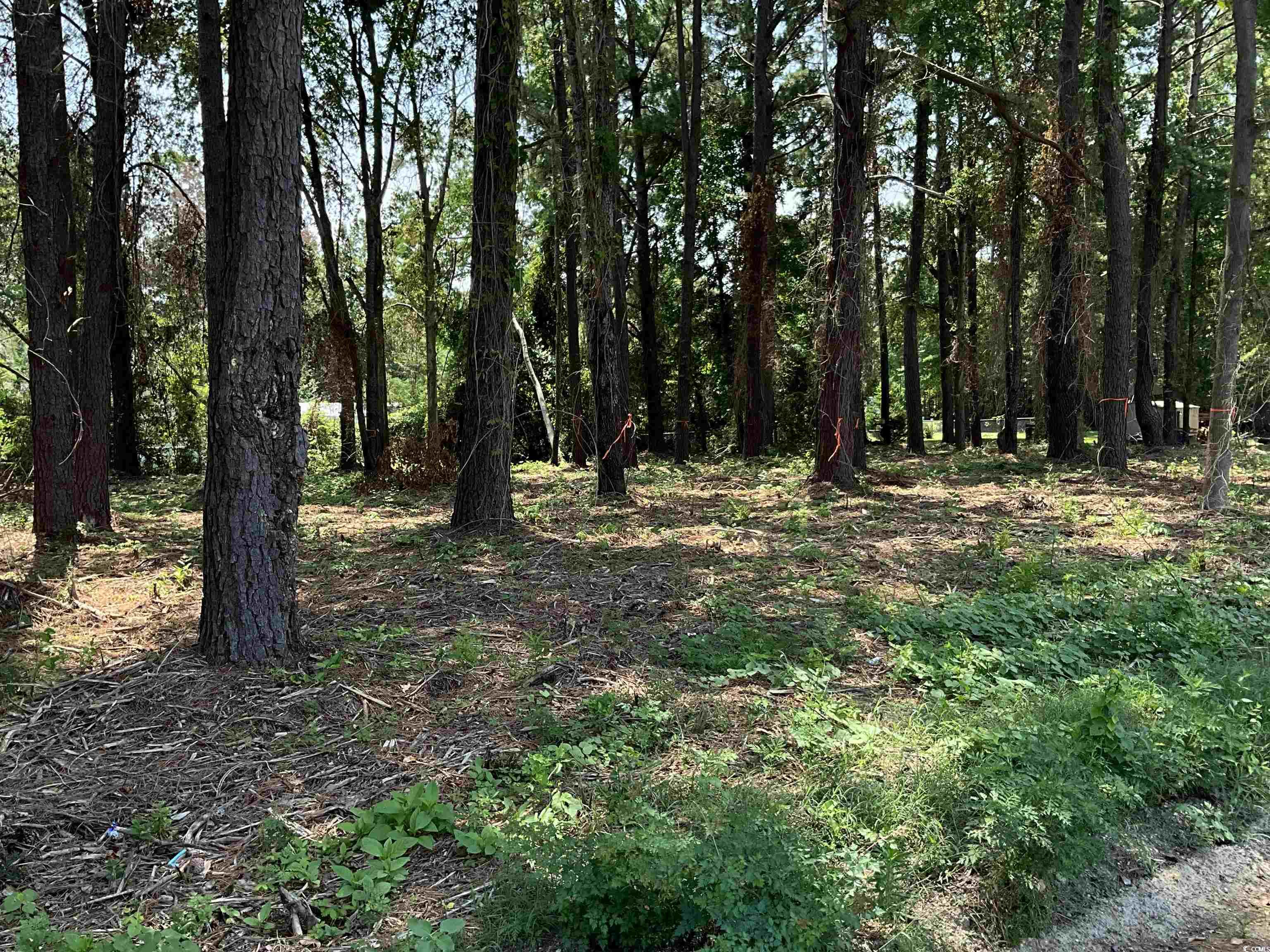 1425 Harbor House Dr., Manning, South Carolina image 2