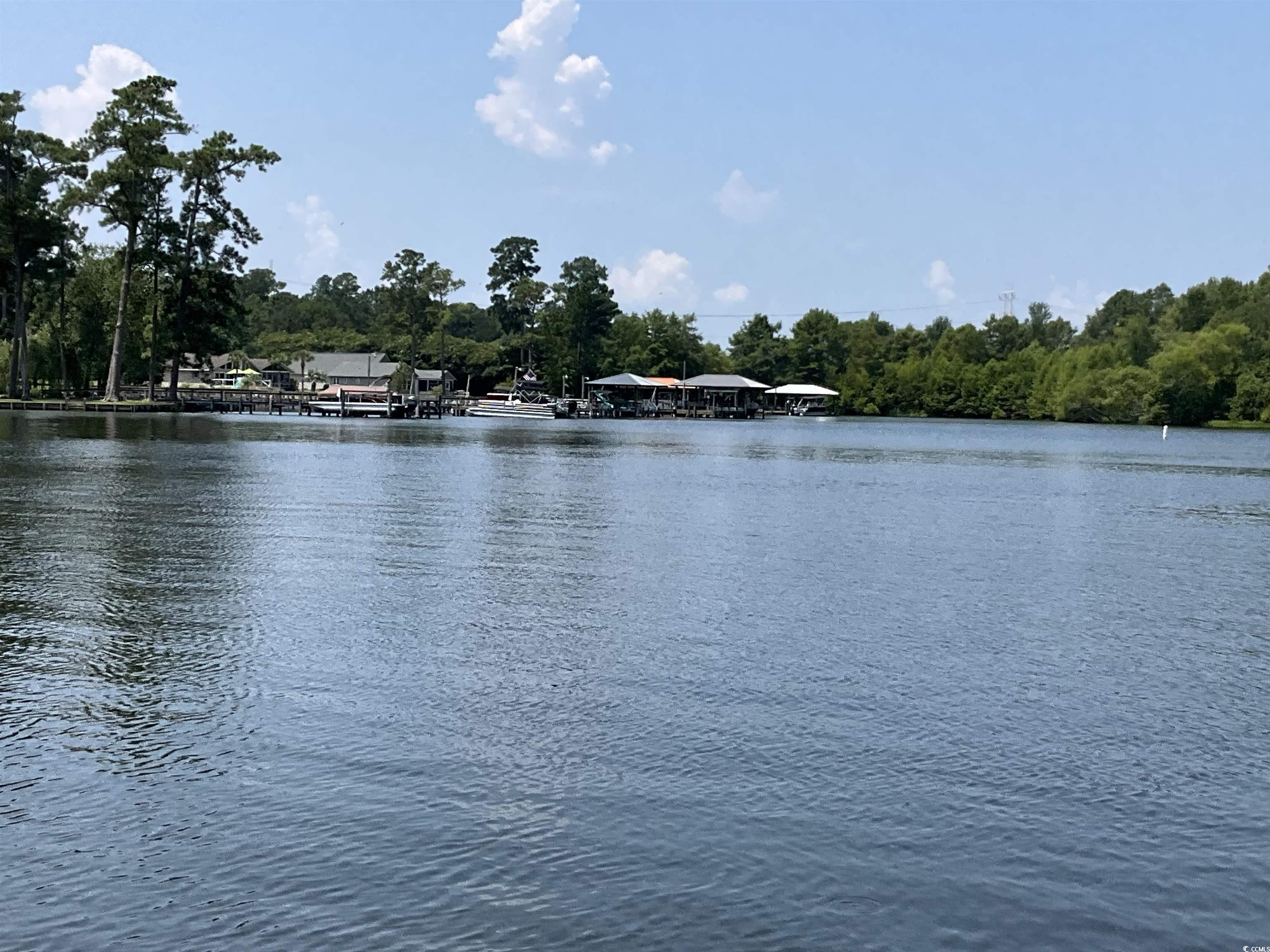 1425 Harbor House Dr., Manning, South Carolina image 9