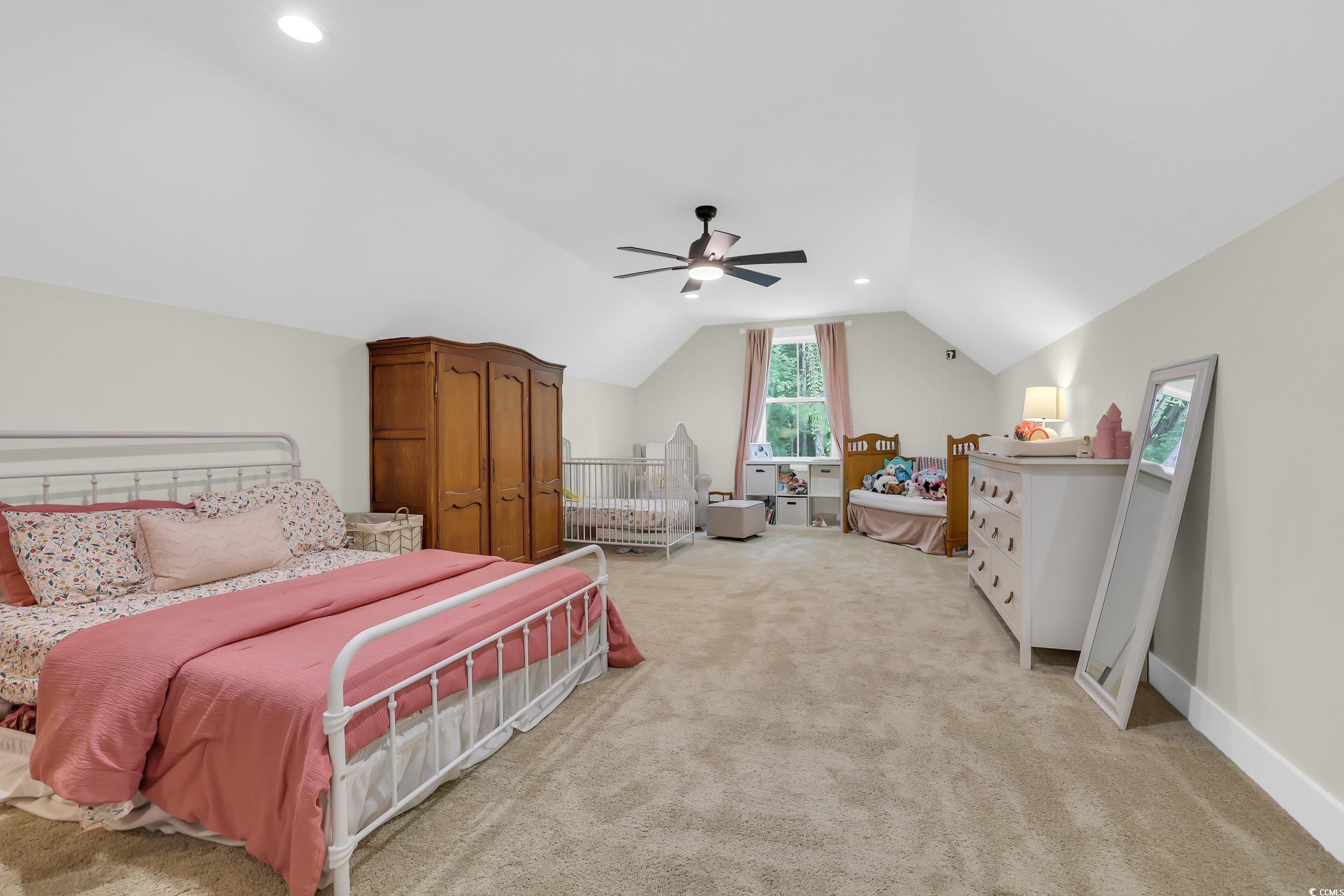 141 Evans Branch Court, Galivants Ferry, South Carolina image 30