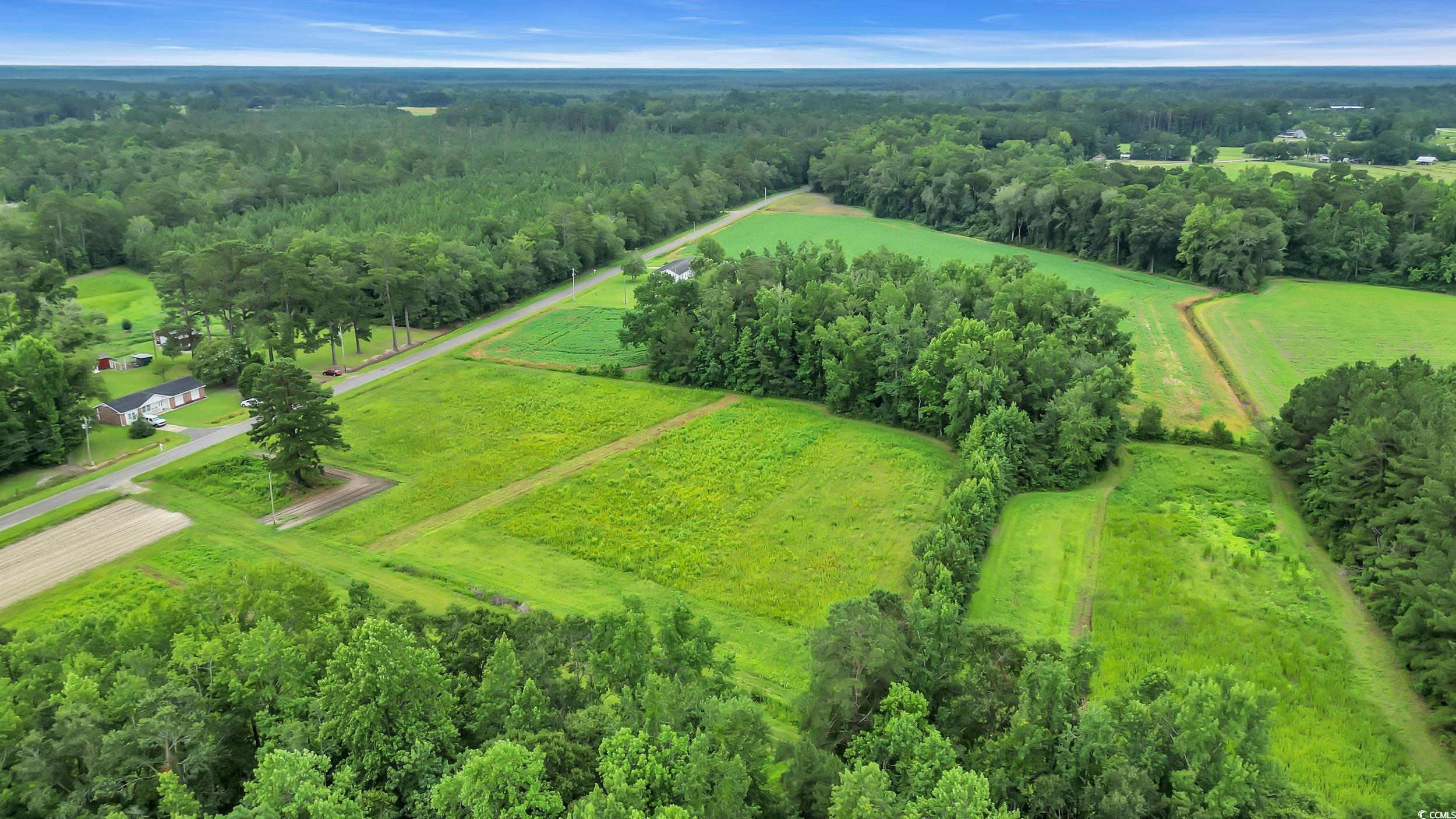 Tom Cribb Rd., Hemingway, South Carolina image 1