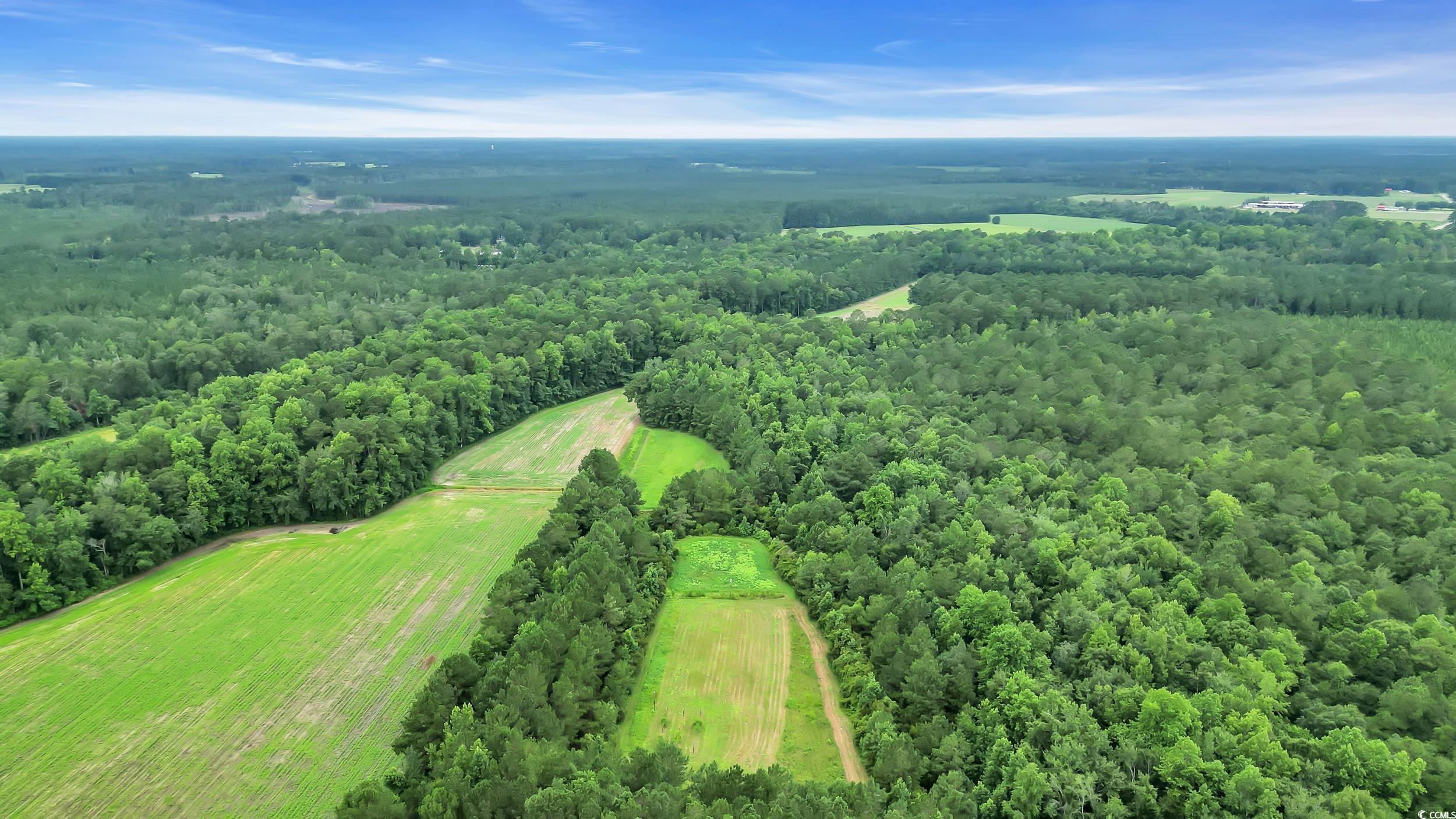 Tom Cribb Rd., Hemingway, South Carolina image 12