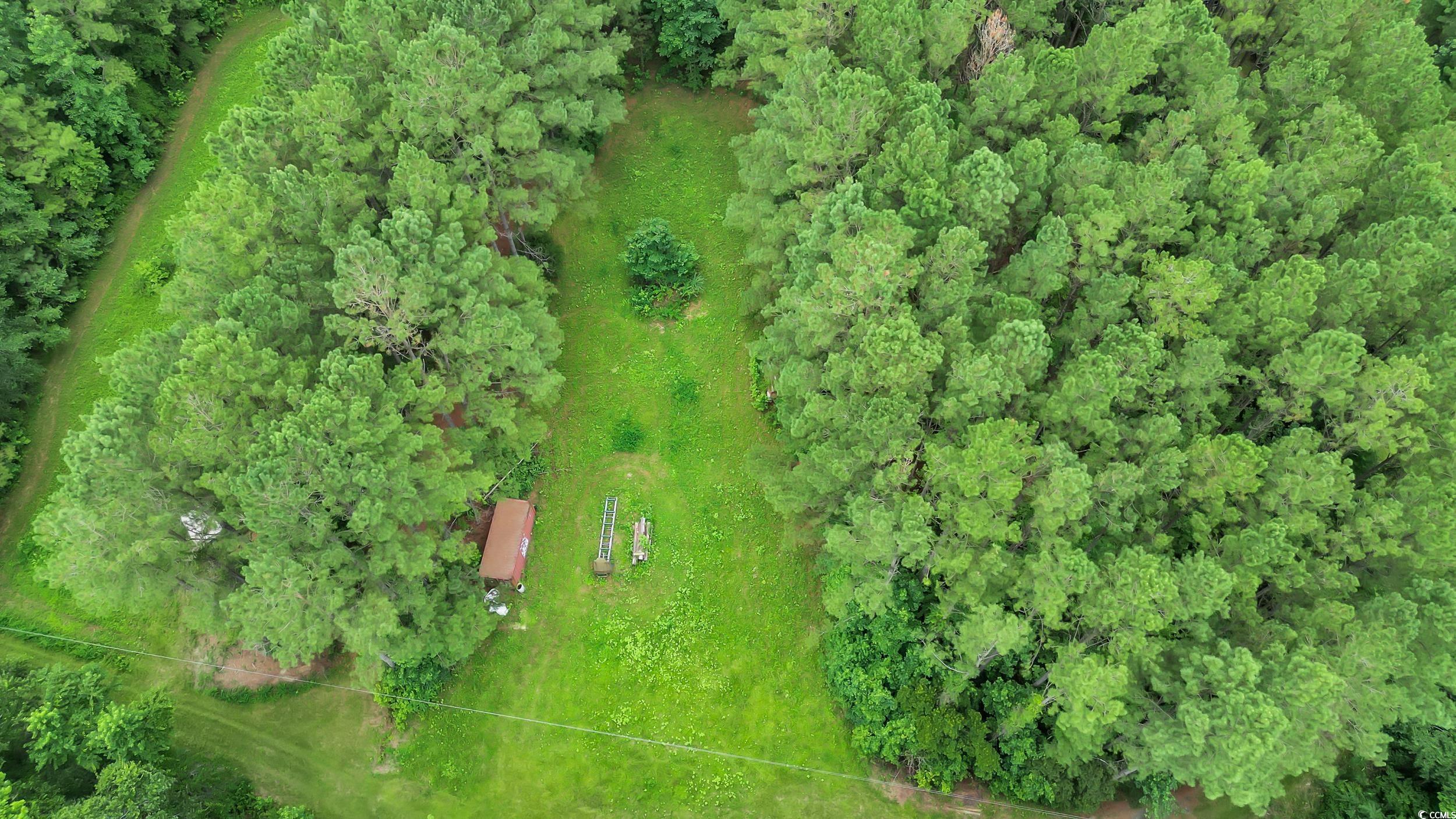 Tom Cribb Rd., Hemingway, South Carolina image 18