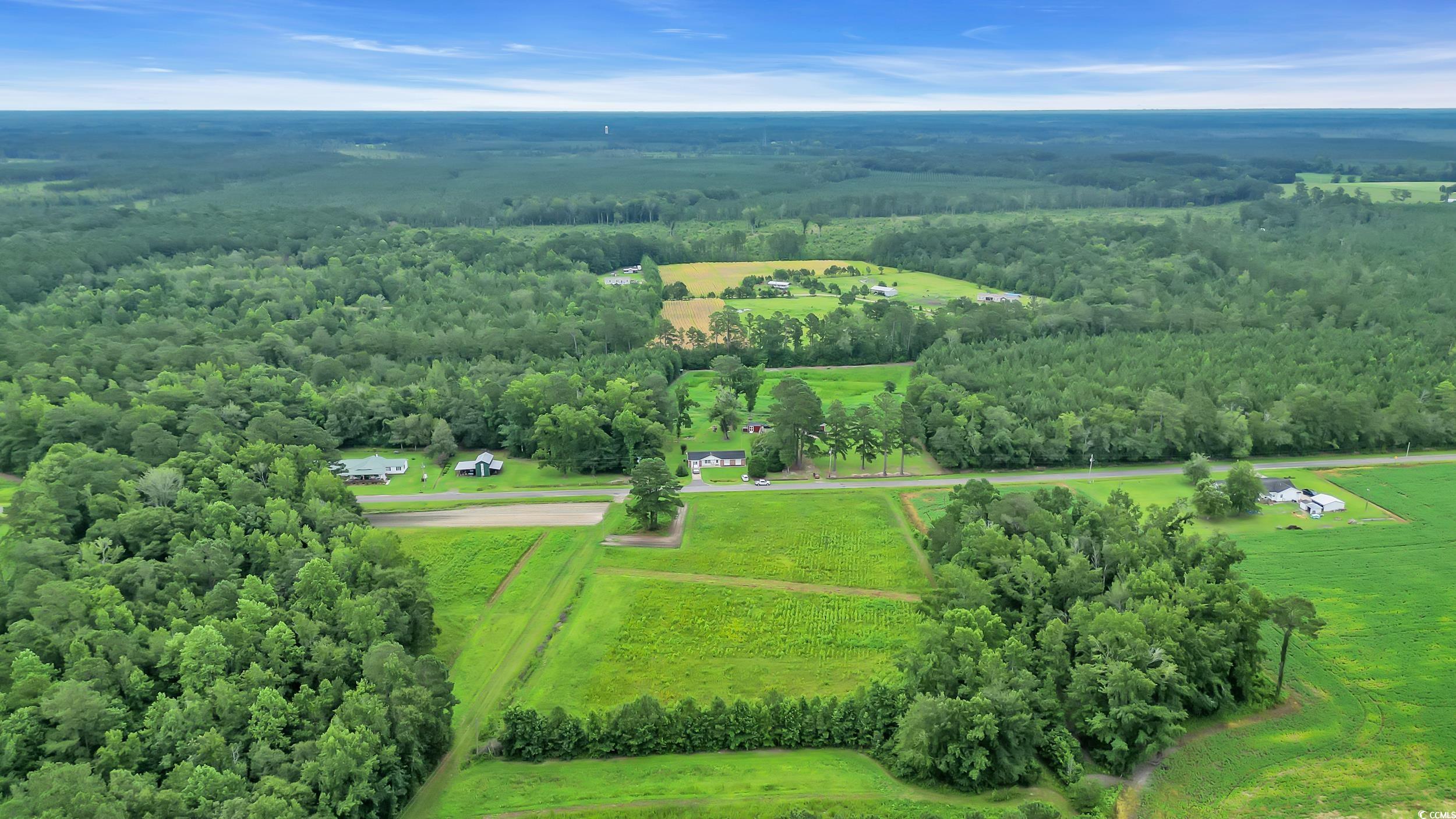 Tom Cribb Rd., Hemingway, South Carolina image 20