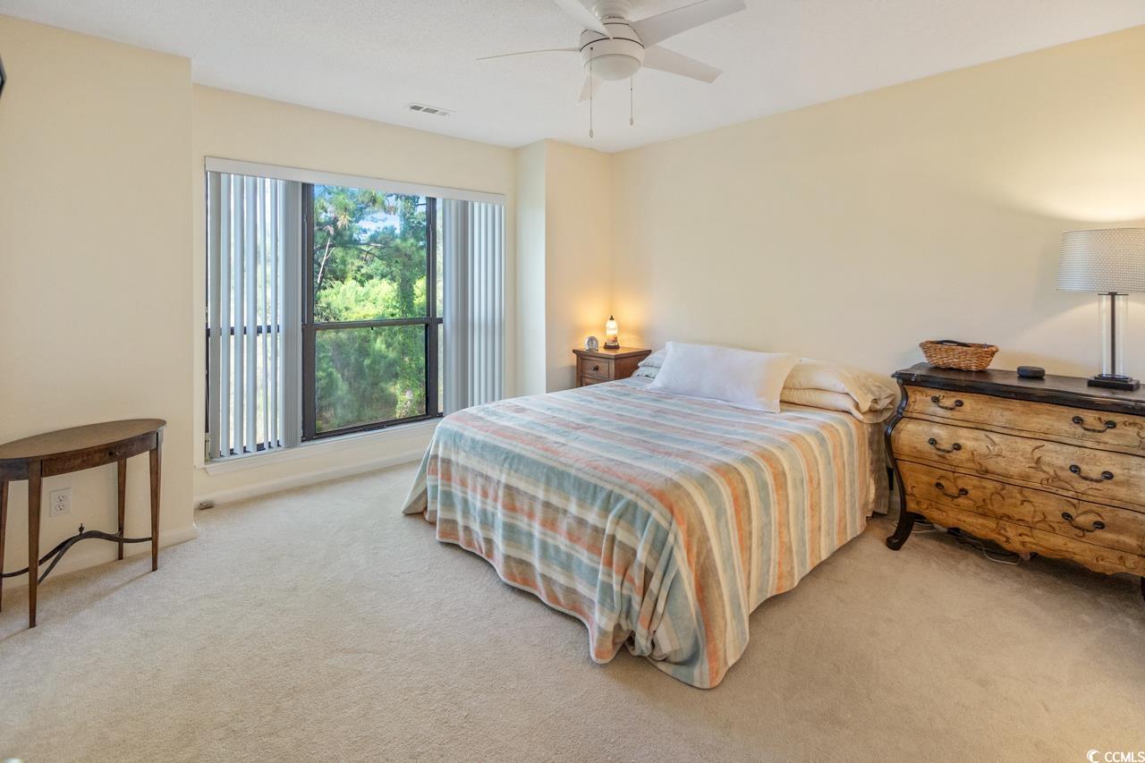 310 Indian Wells Ct. #-, Murrells Inlet, South Carolina image 13
