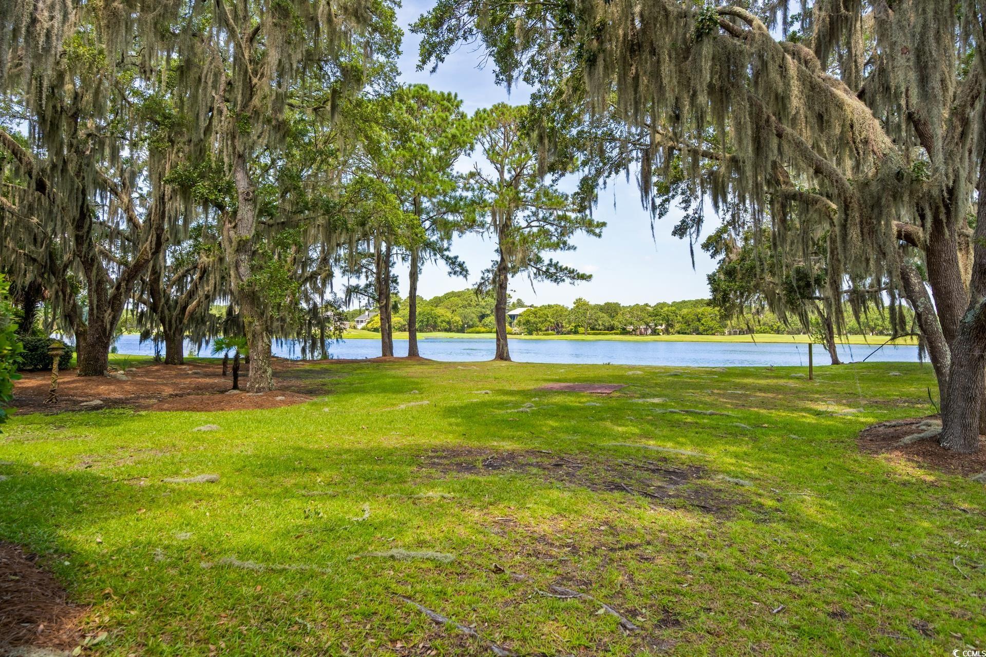 3085 Luvan Blvd., Georgetown, South Carolina image 27