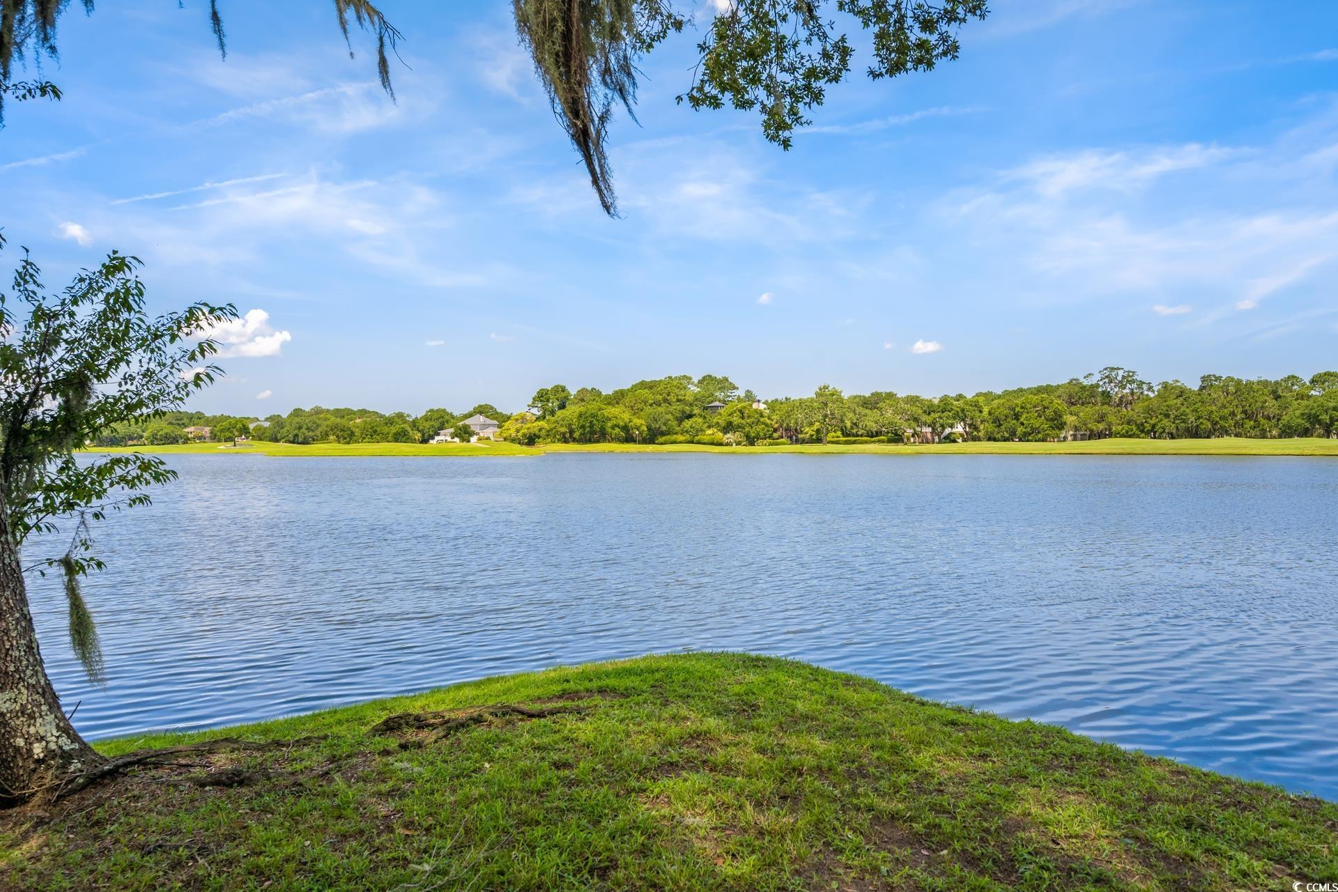 3085 Luvan Blvd., Georgetown, South Carolina image 28