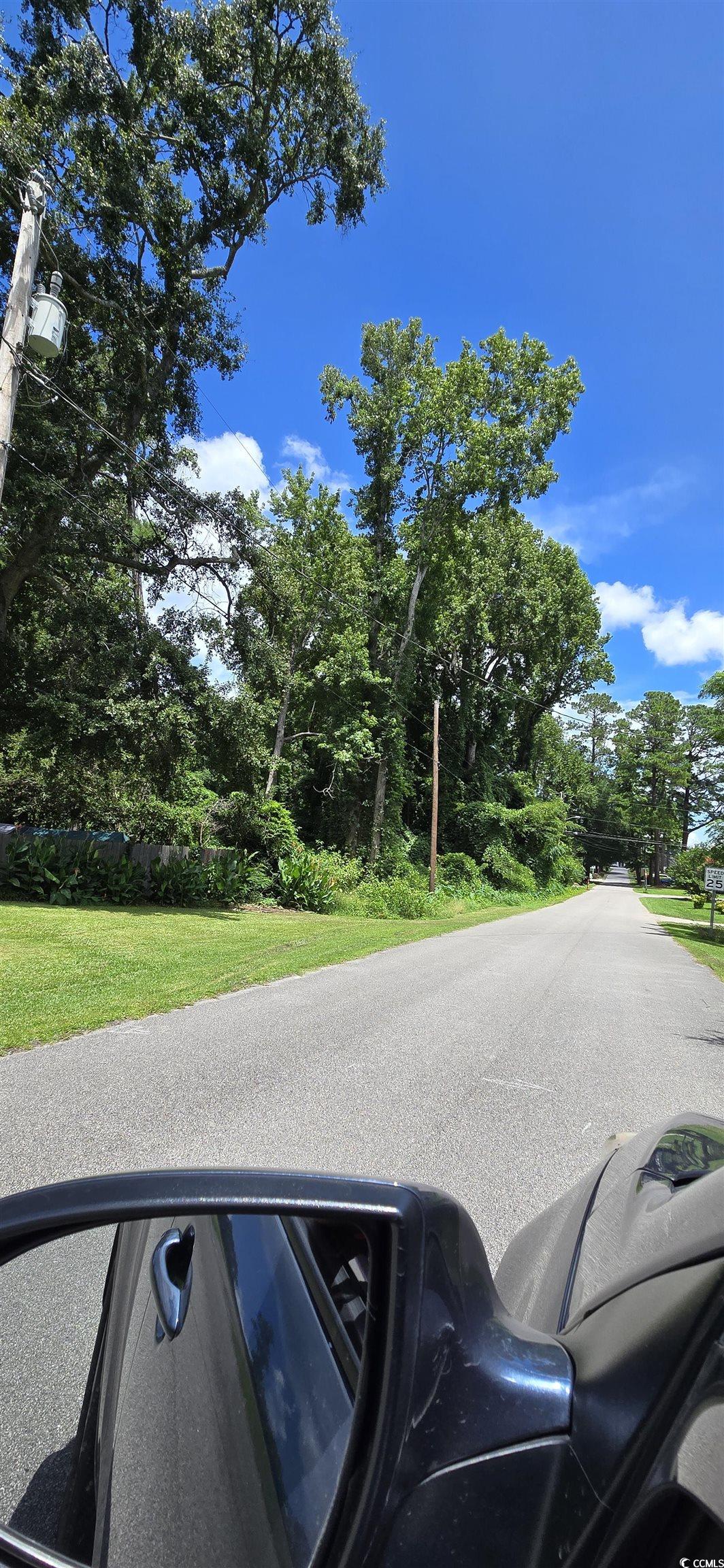 Milligan St., Loris, South Carolina image 3