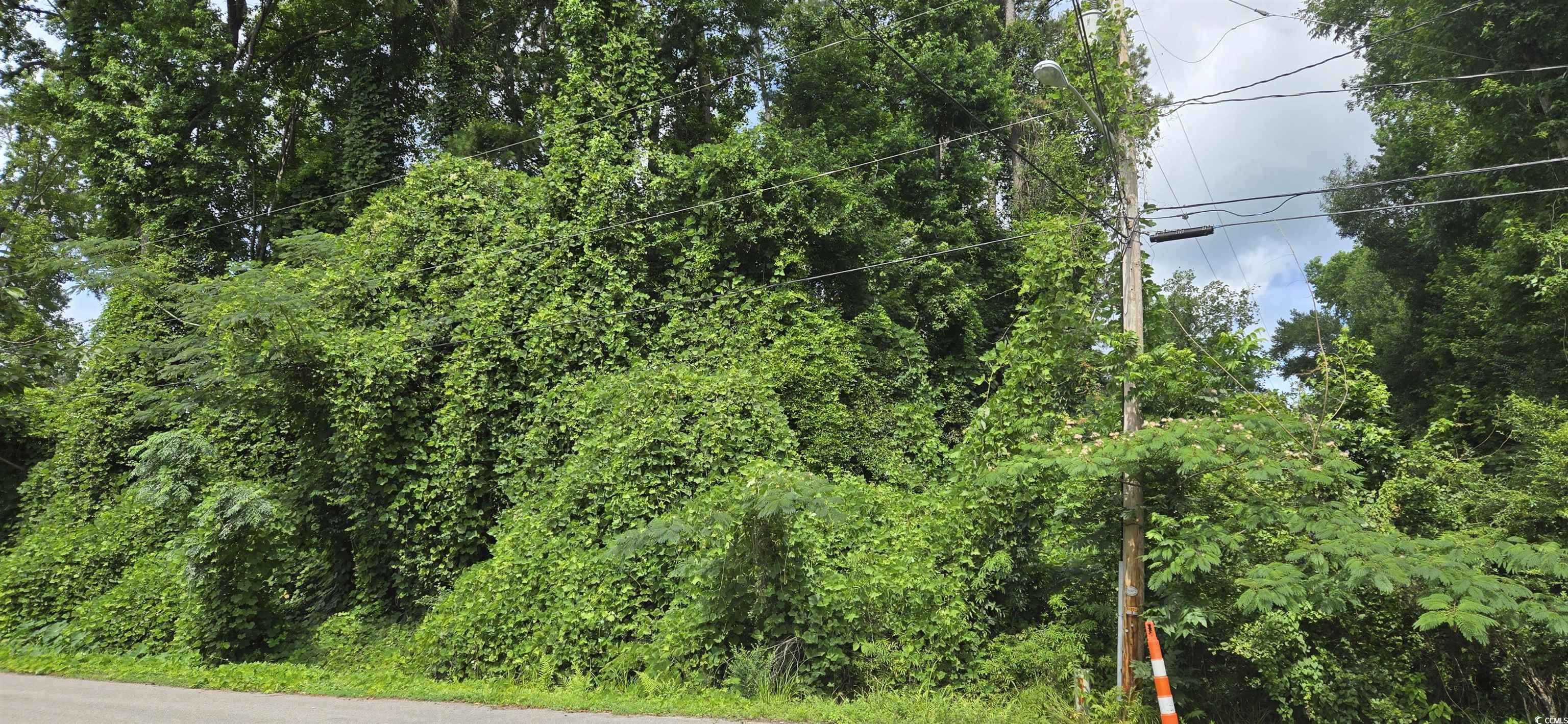 Milligan St., Loris, South Carolina image 6